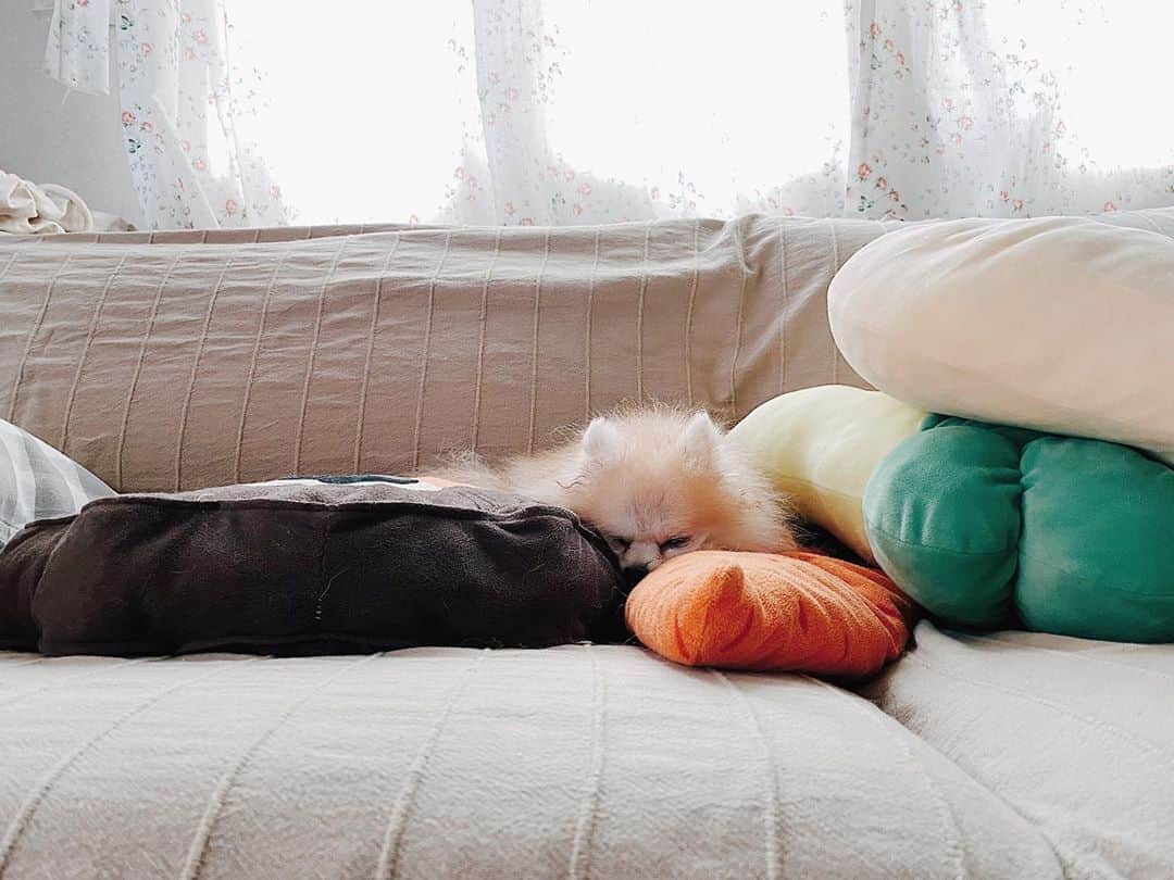 r_oseのインスタグラム：「Hiding from Monday🐰〰️」