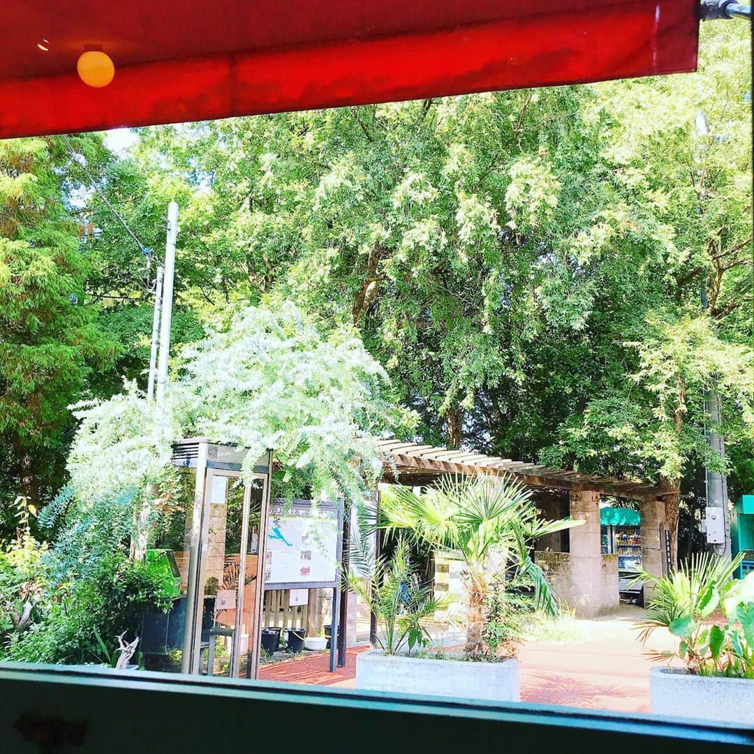 福田葉子さんのインスタグラム写真 - (福田葉子Instagram)「あんバタートースト、うんまあ。井の頭公園駅前の小さなカフェ、talatta talattaでブランチ。ブルーベリーたっぷり&バニラアイスのせのフレンチトーストも。夫が頼んだウバのミルクティがこれまた美味。 特等席のカウンターで、公園の大きな樹々が揺れるさまを眺めながら風に吹かれながらよしなしことをおしゃべりしながら。BGMはハワイアン風でゆるい感じがまたよし。店名どおり、タラッタタラッタ♪な気分になれる吉祥寺の穴場です。 #cafe #weekend #branch #anbutter #toast #yummy #parkside #kichijoji # talattatalatta #あんバター　#あんバタートースト #フレンチトースト　#ブランチ　#井の頭公園駅　#井の頭公園　#カフェ　#穴場　#吉祥寺　#休日」9月21日 17時04分 - yoyoyokoko