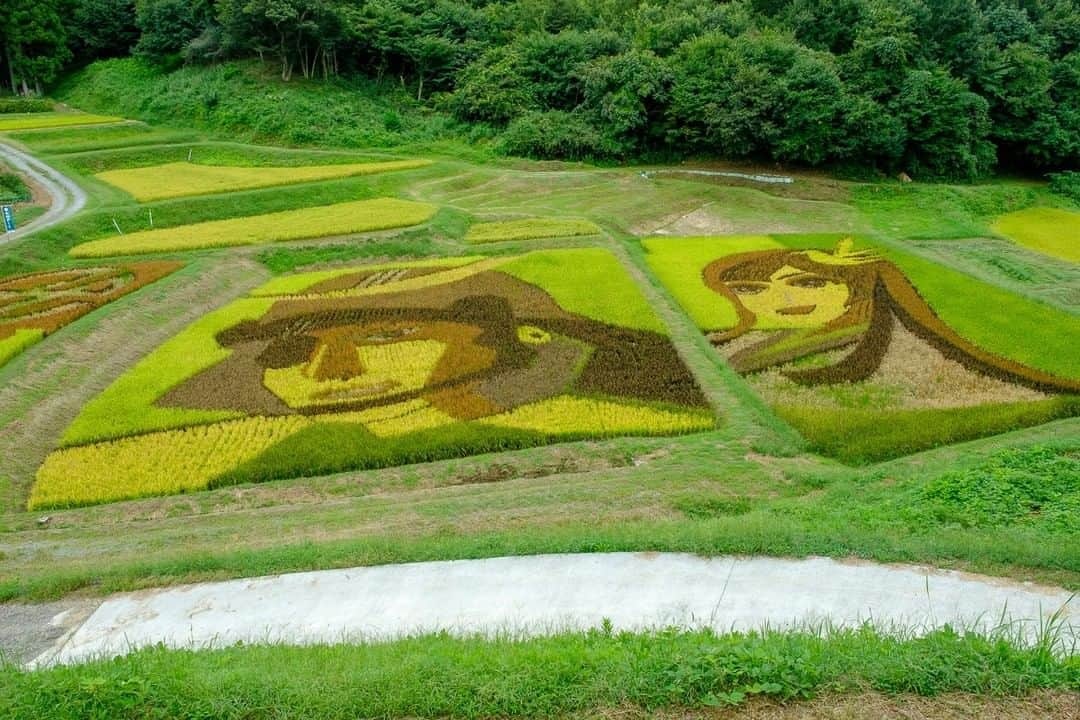 福島県さんのインスタグラム写真 - (福島県Instagram)「【愛姫（めごひめ）と伊達政宗】  里山の田んぼアートに、三春町ゆかりの愛姫と伊達政宗が描かれました。愛姫は、三春城主田村清顕公の娘として生まれ、伊達家に嫁ぎ、正室として政宗公の生涯を支えました。田んぼアートは9月末ごろまで見ることができます。  #田んぼアート #ファームパークいわえ #三春町 #県中地方 #福島県 #miharutown #fukushima #traveljapan #futurefromfukushima #ふくしまからはじめよう #新しい生活様式からはじめよう」9月21日 17時15分 - realize_fukushima