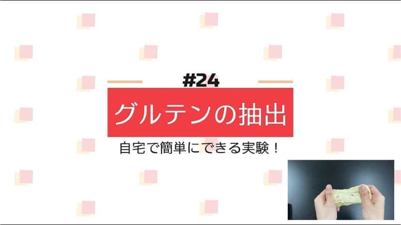 東京バイオテクノロジー専門学校さんのインスタグラム写真 - (東京バイオテクノロジー専門学校Instagram)「🏠#スキマ時間 に #進路研究﻿ ﻿ #東京バイオ の #YouTubeチャンネル では﻿ #進路選び で気になるあれこれを解決！﻿ ﻿ 今回の動画は﻿ 自宅にある材料や器具で、簡単にできる実験！﻿ 小麦粉（強力粉）からのグルテンの抽出﻿ ﻿ 詳細はこちらから💁‍♀️🎥﻿ https://youtu.be/9BQB2suyiZA﻿ ﻿ #小麦粉 #強力粉﻿ #パン作り  #グルテン #自宅で実験﻿ #実験 #理系 #専門学校﻿ #東京バイオ #東京バイオテクノロジー専門学校 ﻿ #食品開発」9月21日 17時15分 - tokyobio