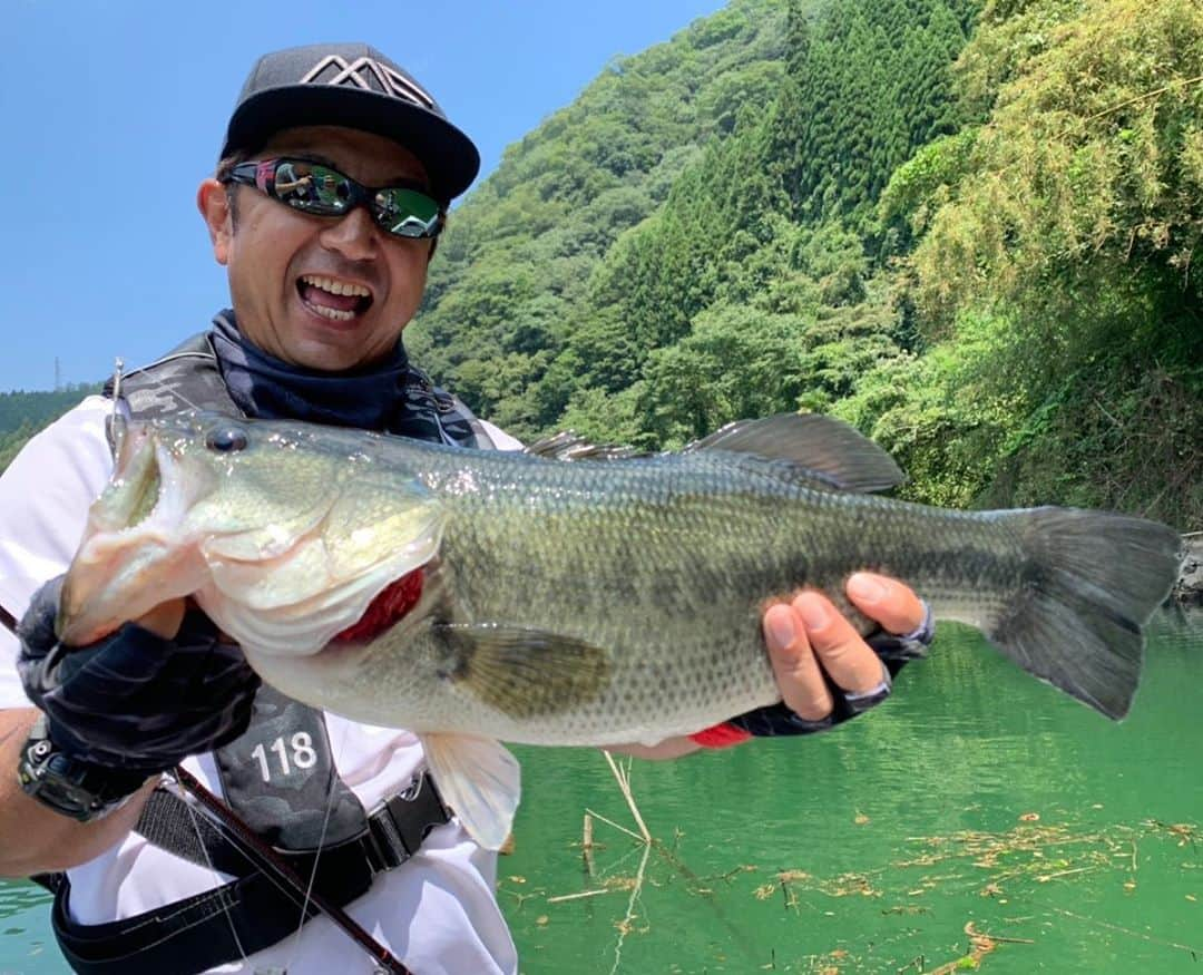 清水盛三さんのインスタグラム写真 - (清水盛三Instagram)「釣りビジョン・バーニング帝国観てくれました⁉️ バリバリ暑い二日間やったけどデカいBigmama も釣れて数も釣れて年に一度の恒例企画キャンプdeインと言う事で個コンロバーベキューも出来てと楽しい時間をみんなで共有出来て良かった😊 ・ ・ ・ #釣りビジョン  #バーニング帝国　#burningempires  #テキサスリグ　#texsasrig  #エバーグリーン　#evergreen  #スーパーマグナム #egバレットシンカー17.5g #ベイトブレス　 #exridershrimp  #ダイワ　#daiwa #ジリオン10 #sunline  #shooter  #最近のマイブームタックル&ワーム #クランクベイト　#crankbait  #ゼルク　#zerch #ディファイヤーアルミーロ19lb #初夏〜初秋にかけてMyテッパンクランク #サーバル #スティーズa  #ティンバーフラッシュ #スーパーマグナム #スティーズa  #まだまだ残暑が厳しいけど安全に楽しく遊んで下さい😁」9月21日 17時52分 - morizo_shimizu