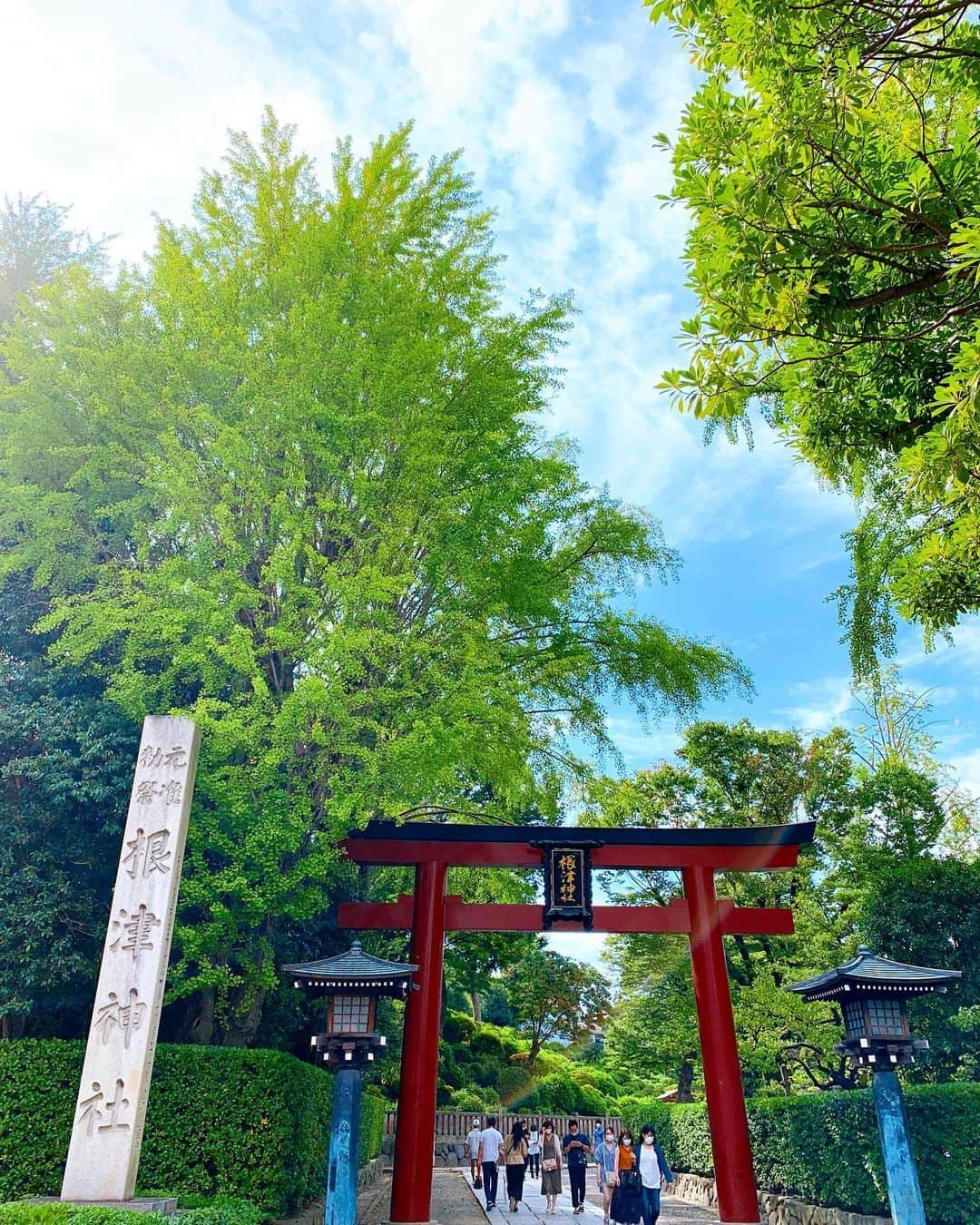 くろさんのインスタグラム写真 - (くろInstagram)「谷根千お散歩🐾 根津神社〜谷中ぎんざ的な感じで🐈 みんなコロナ忘れて近場に繰り出しまくりですな😅 また、2週間後がエライこっちゃになってる予感www #根津神社 #千本鳥居 #谷中ぎんざ #谷中ぎんざ商店街 #千駄木 #谷根千 #千駄木散歩 #谷根千散歩 #千駄木さんぽ #谷根千さんぽ #カメノコタワシ #カメノコタワシのキーホルダー #買いました #観音寺築地塀 #夕やけだんだん #夕やけだんだん坂 #東京散歩 #東京さんぽ」9月21日 18時01分 - m6bmw