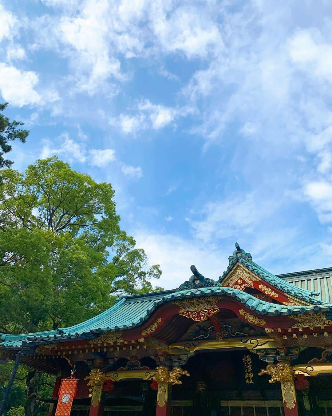 くろさんのインスタグラム写真 - (くろInstagram)「谷根千お散歩🐾 根津神社〜谷中ぎんざ的な感じで🐈 みんなコロナ忘れて近場に繰り出しまくりですな😅 また、2週間後がエライこっちゃになってる予感www #根津神社 #千本鳥居 #谷中ぎんざ #谷中ぎんざ商店街 #千駄木 #谷根千 #千駄木散歩 #谷根千散歩 #千駄木さんぽ #谷根千さんぽ #カメノコタワシ #カメノコタワシのキーホルダー #買いました #観音寺築地塀 #夕やけだんだん #夕やけだんだん坂 #東京散歩 #東京さんぽ」9月21日 18時01分 - m6bmw