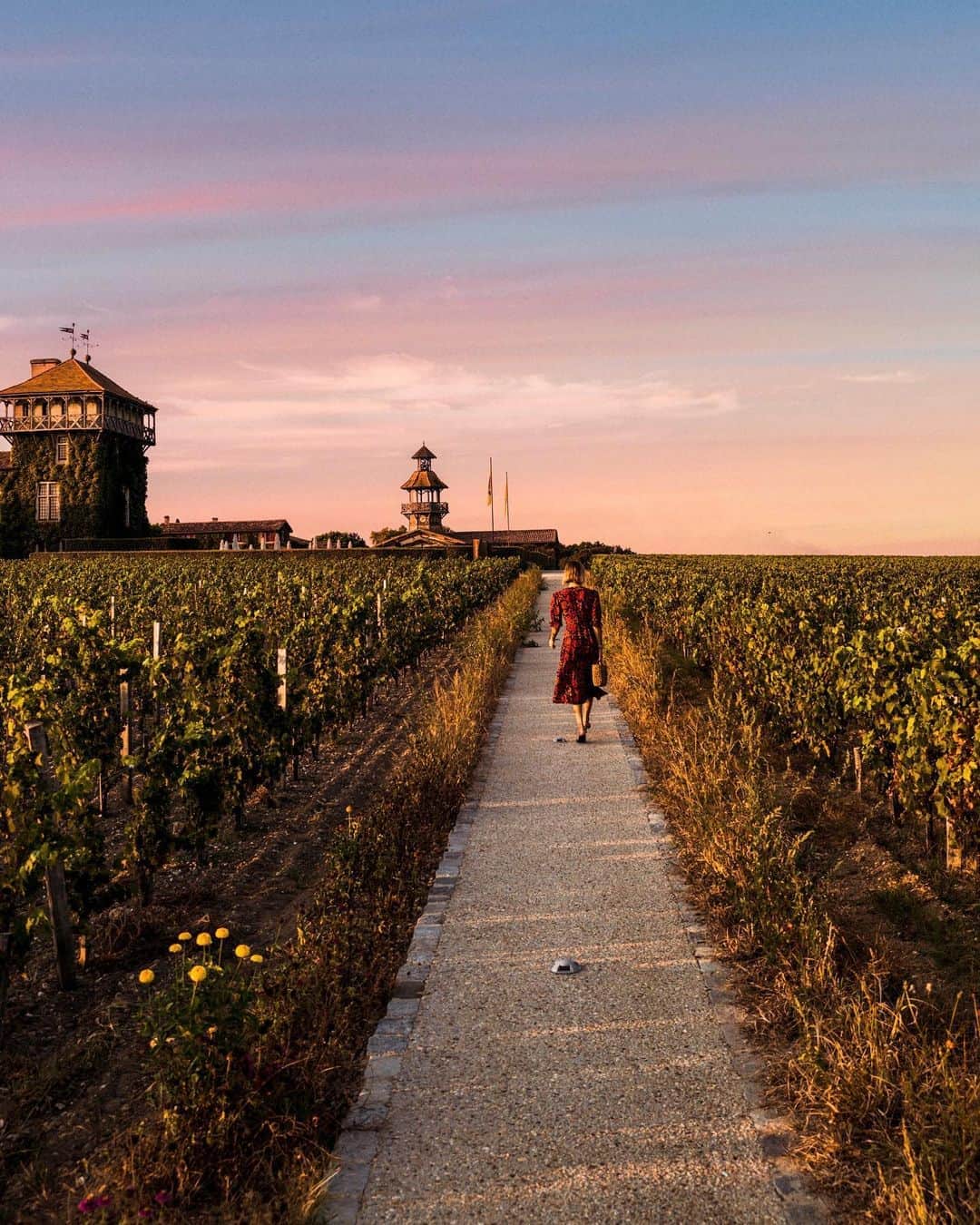 NICOLAS SIMOESのインスタグラム：「The girl lost in the french vineyard 🧡✨」