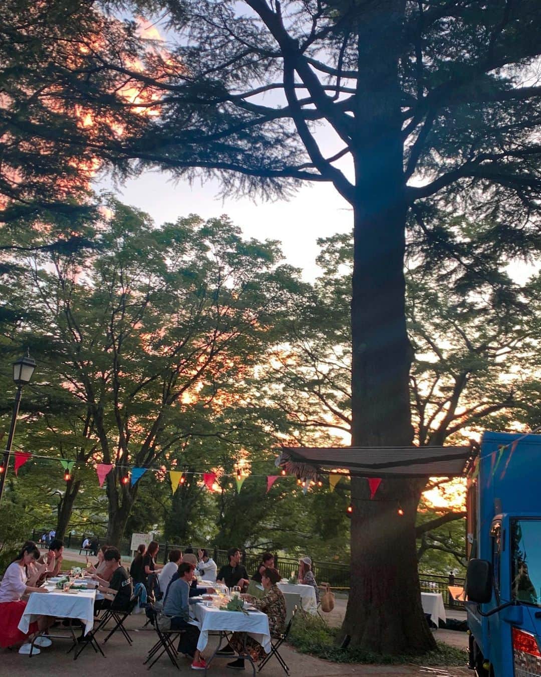 若林翔子のグルメインスタ