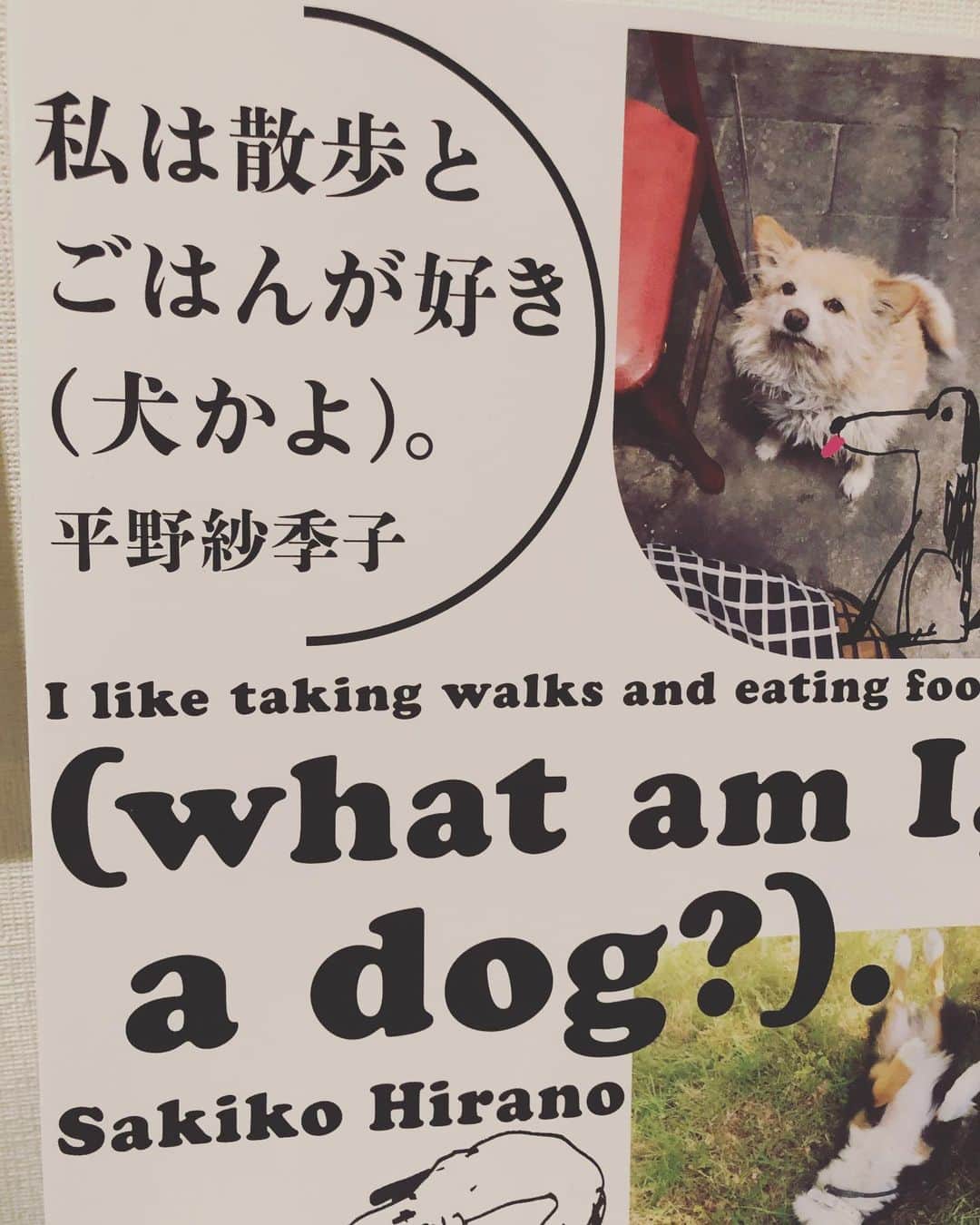 金澤ダイスケさんのインスタグラム写真 - (金澤ダイスケInstagram)「私は散歩とごはんが好き(犬かよ)。 まったくもって同感です。 平野先生の本はシンクロ率が高い。」9月21日 18時20分 - daisukekanazawa_ff