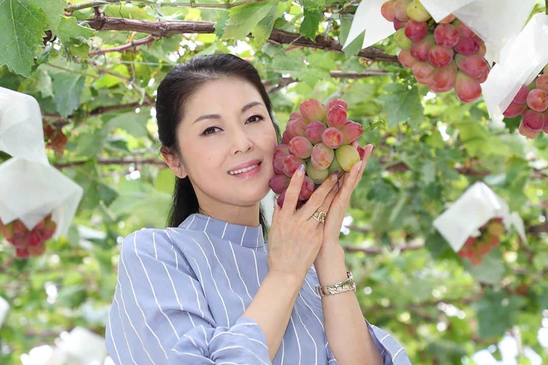 藤あや子さんのインスタグラム写真 - (藤あや子Instagram)「マルオレに負けじと🤨  昨年からスタートした  コラボフルーツ企画  今年もやります‼️  本日より 山梨県笛吹市の果物農家さん 「桃武屋」とのコラボ  シャインマスカット『彩華』が販売スタート❗️  そして今年は 鮮やかな紅藤色の『パープルクイーン』が新たにラインナップ‼️  大粒で糖度も抜群です✨  彩華&パープルクイーン  どちらも 私が命名させて頂いた  「桃武屋」にしかない オリジナルブランドで  一度食べたら 感動すること間違いなしな美味しさ💕  ご主人の小澤さん、奥さまをはじめ スタッフの皆さまが 丁寧に愛情たっぷり育て上げた 今が旬真っ盛りの 彩華とパープルクイーンを 是非全国の皆さまに味わって頂きたいです✨  大切な方への贈り物にもぜひ🎁  数に限りがありますのでお早めに😽  ご注文は桃武屋 @momotakeya のプロフィールに記載されているURLからお問い合わせください🙇🏻‍♀️  #桃武屋 #彩華 #パープルクイーン #シャインマスカット  #バイオレットキング   photo  中村通孝 @michitaka_nakamura」9月21日 18時28分 - ayako_fuji_official