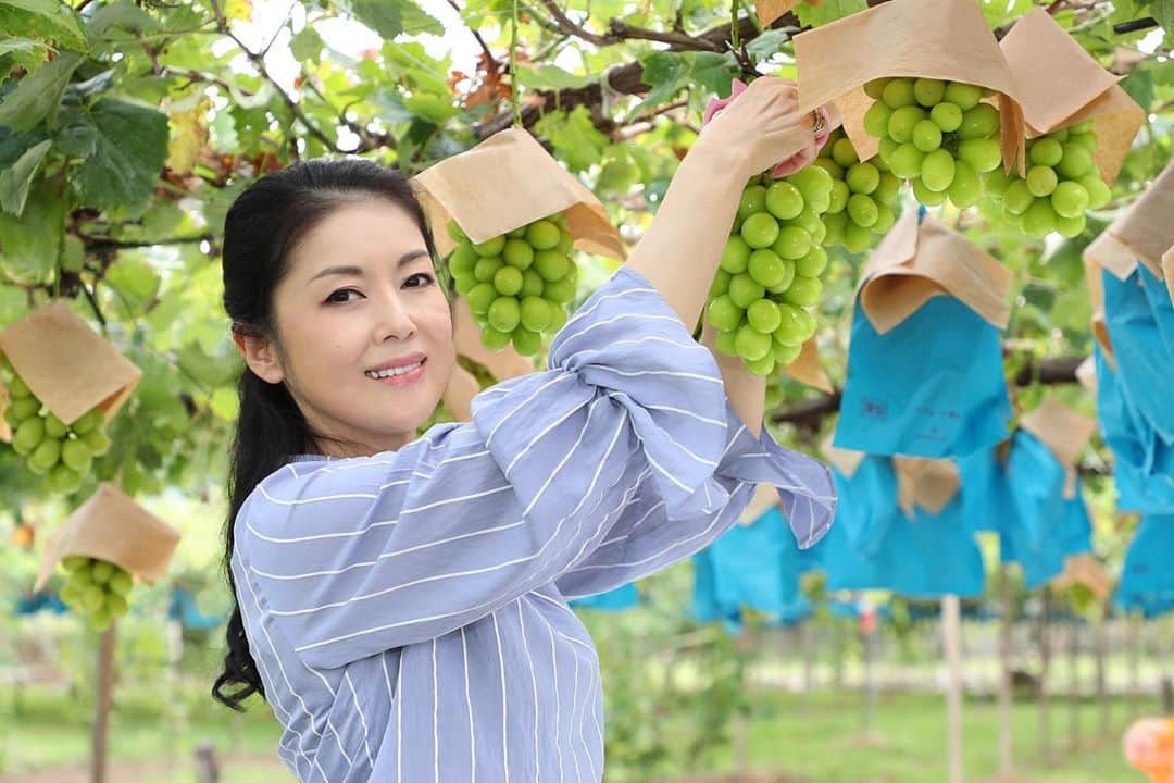 藤あや子さんのインスタグラム写真 - (藤あや子Instagram)「マルオレに負けじと🤨  昨年からスタートした  コラボフルーツ企画  今年もやります‼️  本日より 山梨県笛吹市の果物農家さん 「桃武屋」とのコラボ  シャインマスカット『彩華』が販売スタート❗️  そして今年は 鮮やかな紅藤色の『パープルクイーン』が新たにラインナップ‼️  大粒で糖度も抜群です✨  彩華&パープルクイーン  どちらも 私が命名させて頂いた  「桃武屋」にしかない オリジナルブランドで  一度食べたら 感動すること間違いなしな美味しさ💕  ご主人の小澤さん、奥さまをはじめ スタッフの皆さまが 丁寧に愛情たっぷり育て上げた 今が旬真っ盛りの 彩華とパープルクイーンを 是非全国の皆さまに味わって頂きたいです✨  大切な方への贈り物にもぜひ🎁  数に限りがありますのでお早めに😽  ご注文は桃武屋 @momotakeya のプロフィールに記載されているURLからお問い合わせください🙇🏻‍♀️  #桃武屋 #彩華 #パープルクイーン #シャインマスカット  #バイオレットキング   photo  中村通孝 @michitaka_nakamura」9月21日 18時28分 - ayako_fuji_official