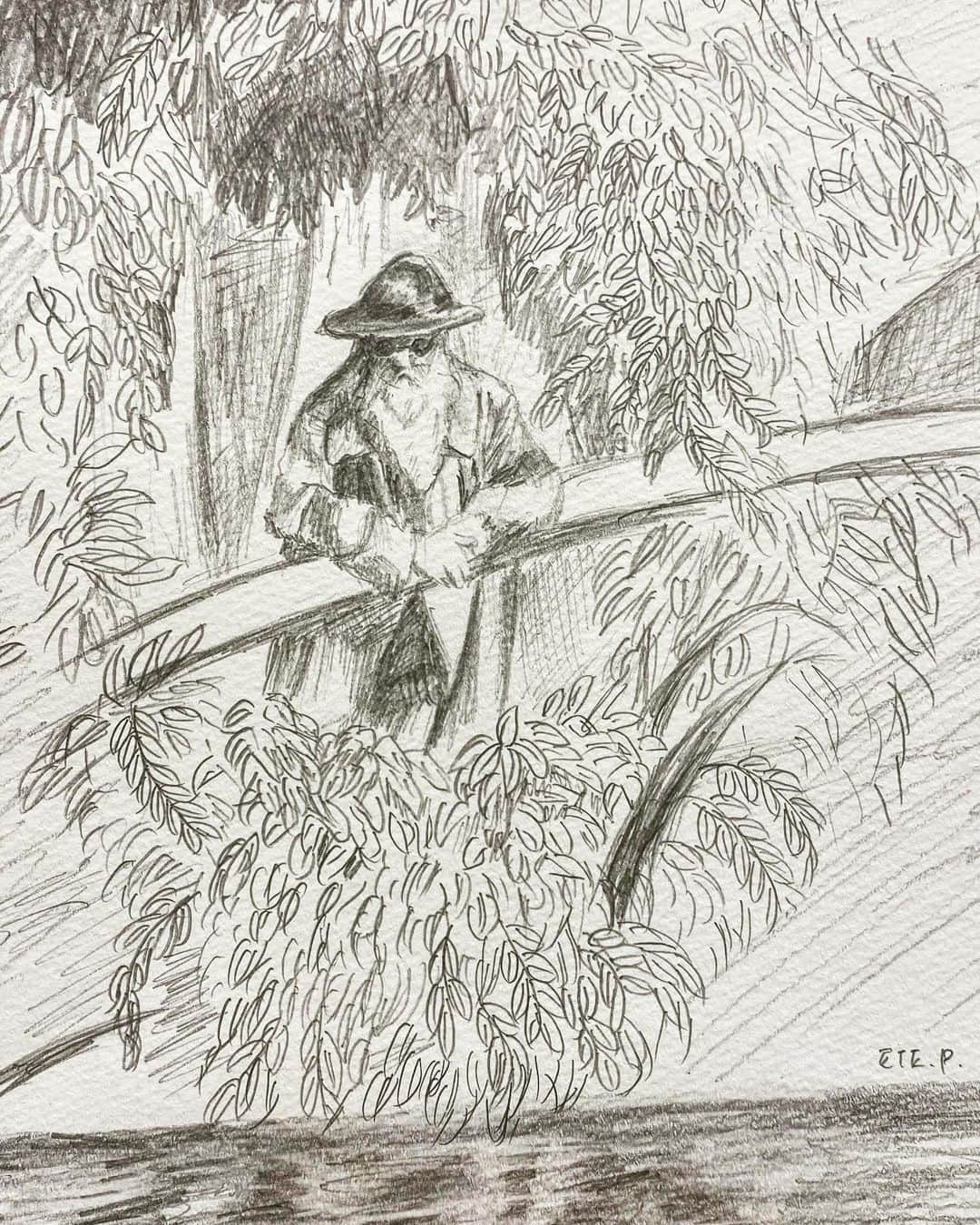 小池花瑠奈のインスタグラム：「なんとなく。 池の水面を眺める おじさん (おじいさん？) 描きました。  しかし、絵具を使わないと すぐ描けて、支度も後片付けも無し シャーペン一本とスケッチブックあればok 楽ですなぁ🎣  あめんぼか あひるか お魚か 何を見ているのでしょうかね〜 何にも見てないかもね🧐  #🖋 #シャーペン  #お絵描き #drawing #dessin」