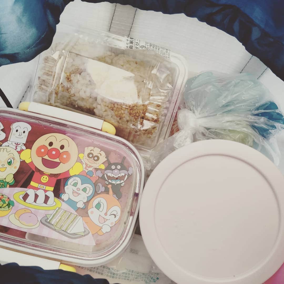 三枝亜紀のインスタグラム：「. . . 夫が用意してくれた. ピクニック弁当^_^ . . デザートに、. ぶどうまで入っているじゃないかぁ！！！ . . 完璧すぎて、私の出る幕なしっ(;´д｀) . .  ・・・そうだよっ！ノロケだよっ(*ﾉω・*)ﾃﾍ . .」