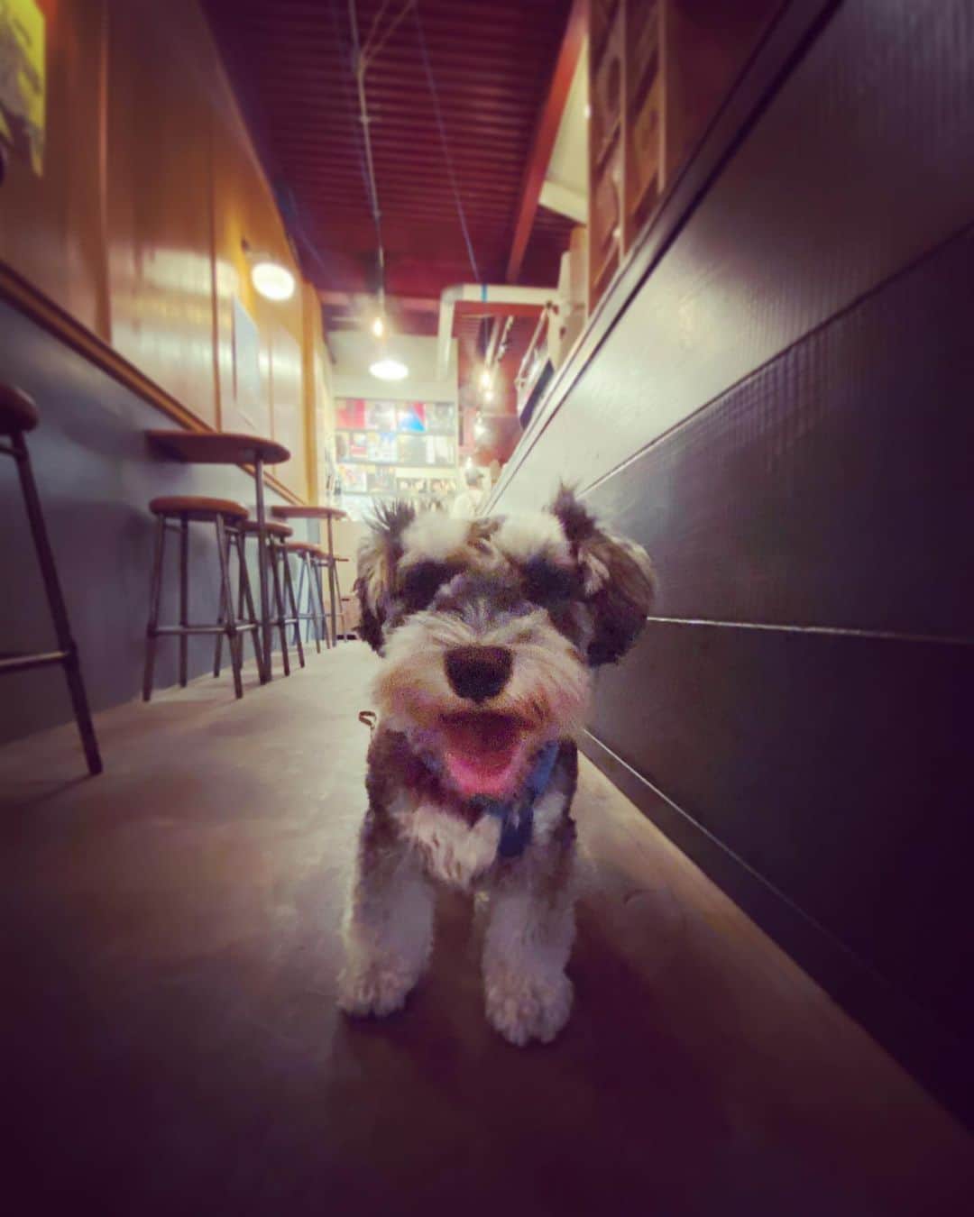 谷川じゅんじのグルメインスタ