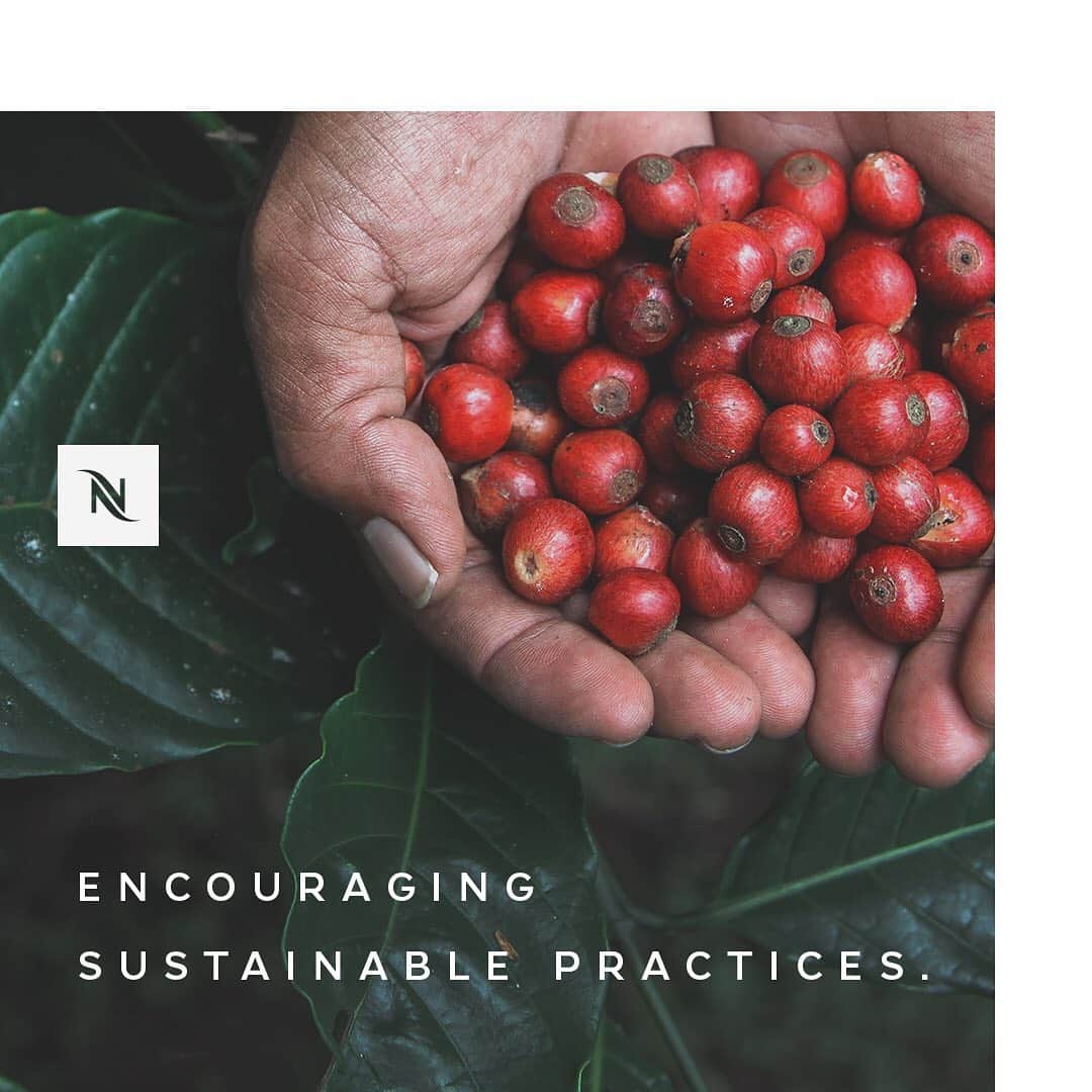 Nespressoさんのインスタグラム写真 - (NespressoInstagram)「Creating a better tomorrow for farmers has always been our priority. That’s why our commitment is to ensure farmers achieve a stable and viable living from coffee.   ☕  We will continue to build on 20 years of partnership with farmers, paying premium coffee prices and encouraging sustainable practices.   ☕ We are reducing risk from market and currency unpredictability and ensuring farmers can make a living off their work.   ☕  We will work with our partners at Fairtrade to increase the share of our certified coffees.   To learn more of what we are doing to make a difference with every cup, visit the link in our bio. Doing is Everything.  #Nespresso #Doingiseverything #Nespressosustainability #sustainablecoffee」9月21日 19時11分 - nespresso