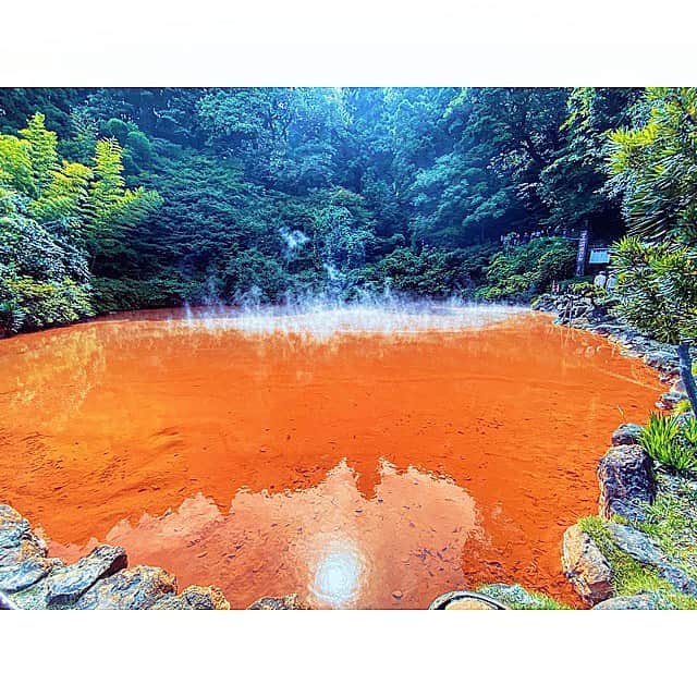 清川あさみさんのインスタグラム写真 - (清川あさみInstagram)「ご縁あり地獄めぐり♨️ いろんな地獄、血の池、好きでした👹  Beppu has 8 hells of hot springs, in which one of them is the Blood Pool Hell. Having existed for more for 1,300 years, it is Japan's most ancient natural hell.  #関西から近い　 #血獄巡り#amazingplaces #japan #♨️#japan #nature #red」9月21日 19時09分 - asami_kiyokawa