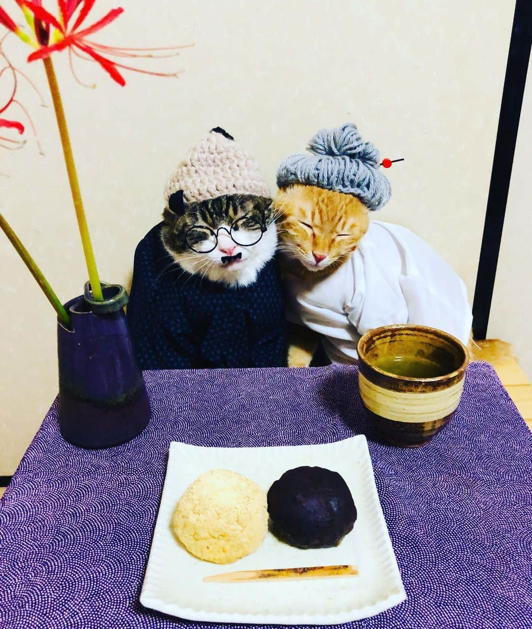 マロさんのインスタグラム写真 - (マロInstagram)「👴🏻敬老の日👵🏻　SWIPE▶️ 〜Respect for the aged day〜 ✴︎ いつもコメントありがとうございます😸🙏💕 返信出来なくてすみません🙇‍♀️ 全て拝見しています🐾 ✴︎ Thank you for your kind comments😸🙏💕 I'm sorry that I couldn't reply. ✴︎ #cat#cats#catsofinstagram#😻 #respectfortheagedday#japan #grandma#grandpa#tea#wagashi  #japaneseculture#ねこ#猫#ねこ部 #敬老の日#彼岸花#おはぎ#お茶 #猫のいる暮らし#斉藤和義 #カーリングシトーンズ」9月21日 19時32分 - rinne172