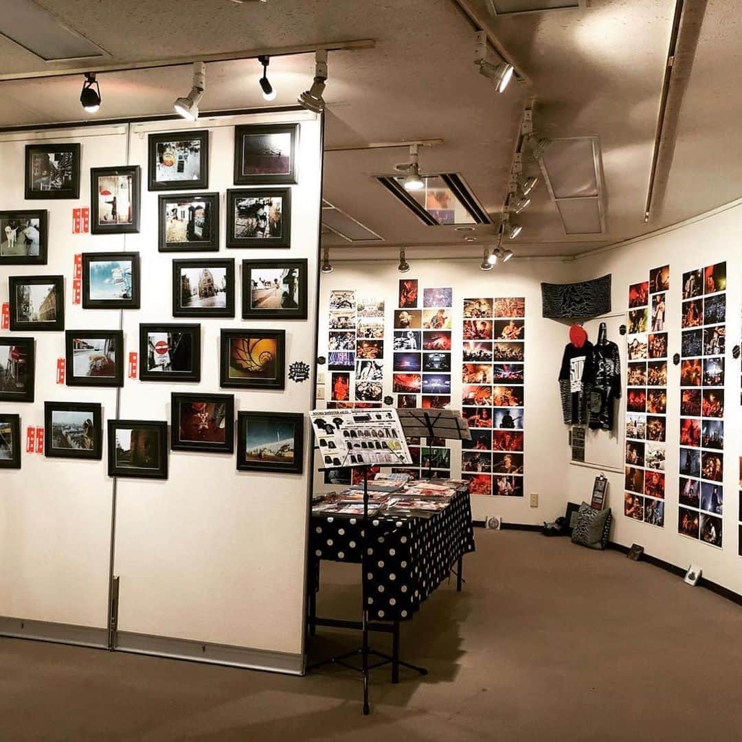 橋本塁さんのインスタグラム写真 - (橋本塁Instagram)「【札幌写真展&STINGRAY5日目終了!】ご来展ありがとうございました！明日は最終日なので11-17時でアートスペース201(中央区南2条西1丁目7番地8 山口ビル5F)にてコロナ感染防止対策して僕は不在ですがお待ちしてます！差し入れ有り難うございました！ #stingray #サウシュー　#写真展　#札幌 #コラボ　#10周年 #adidas #seek #welcome #samuraicore #candystripper #allaround #joju #theuniin #voo #moreaxe #oneokrock #ワンオクロック #ストレイテナー #NCIS #androp #thebawdies #thepillows #fomare #FBY #lowiq01 #thebackhorn #9mmparabellumbullet  #hawaiian6  #ren」9月21日 19時43分 - ruihashimoto