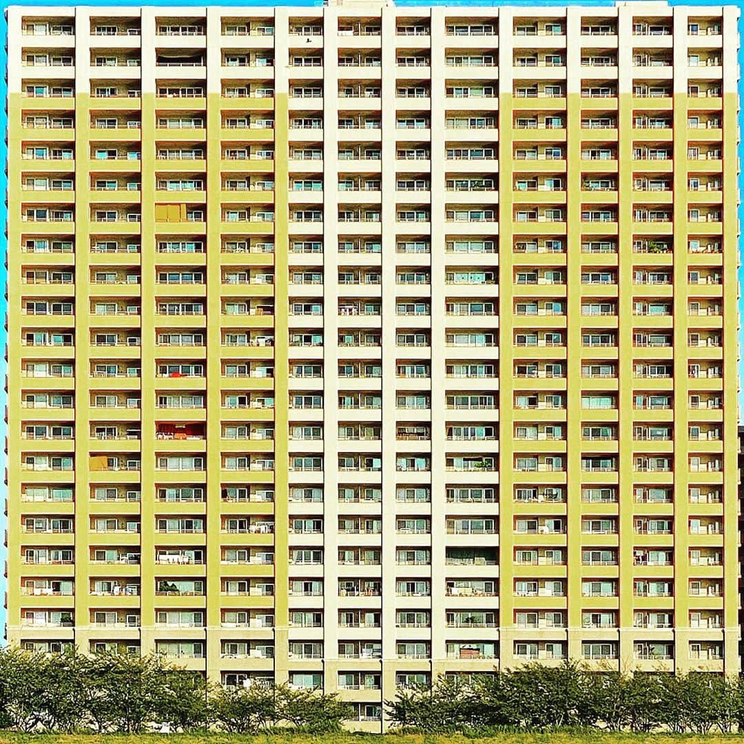 tsuno2noのインスタグラム：「21.September.2020 🧇🏢 . #ザ壁部 #igersjp #instagram #こんななの #minimalint #9minimal7 #ic_minimal #arkminimal #rsa_minimal #indies_gram #tv_simplicity #jj_minimalart #arte_minimal #タグキング👑 #minimalmood #shotoniphone #soulminimalist #indies_minimal #minimal_greece #instagramjapan #buildingstylesgf #ig_minimalshots #unlimitedminimal #paradiseofminimal #minimal_perfection #loves_united_minimal #ihaveathingforminimal #grand_doorsandwindows .」