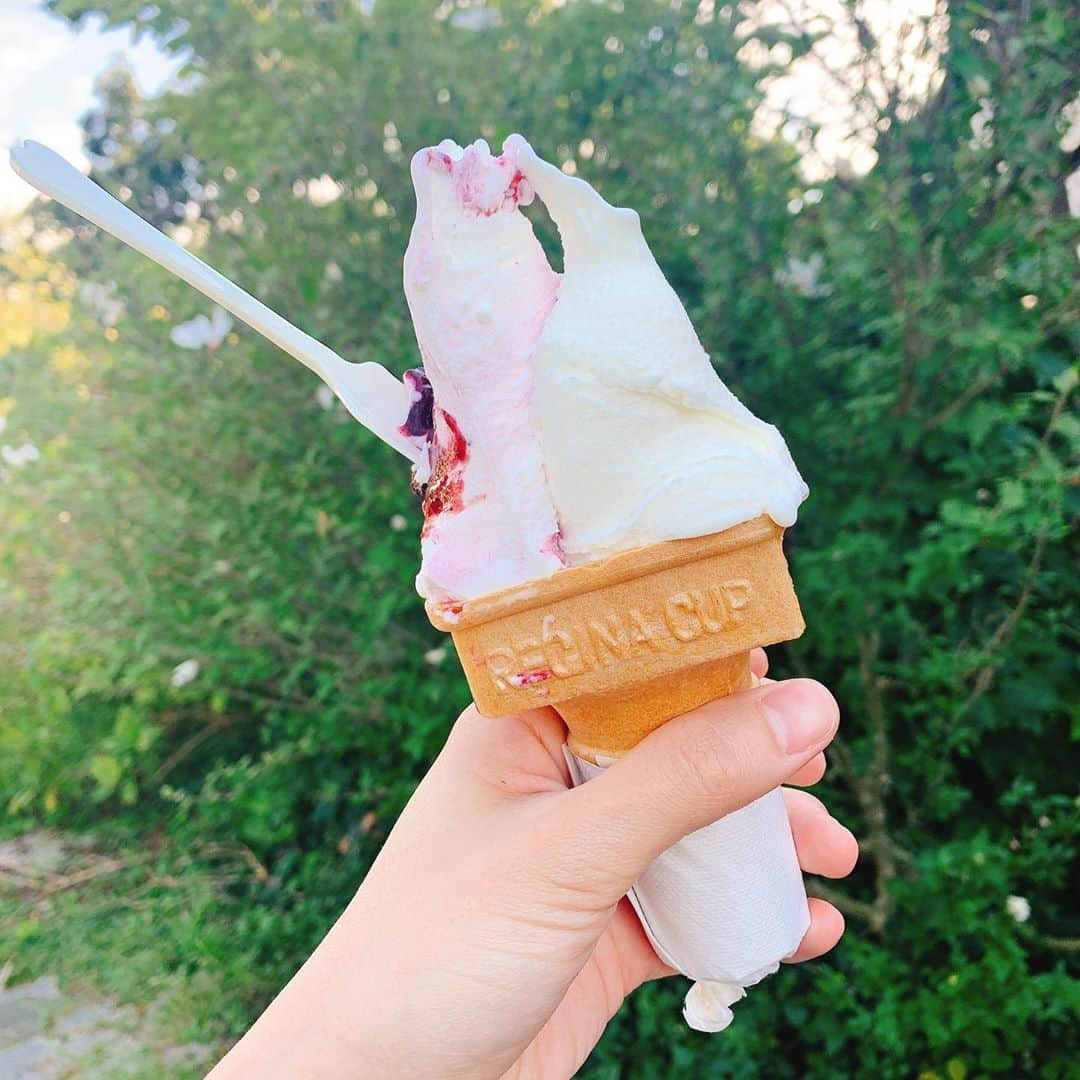 長谷川怜華さんのインスタグラム写真 - (長谷川怜華Instagram)「.. ..  ジェラテリアpopolo🍦  しぼりたて牛乳と ブルーベリーヨーグルト♫  ずっと前からここにあるの 変わってない♫  #ジェラート #新潟 #日本海  .. ..」9月21日 19時51分 - hasegawa_reika