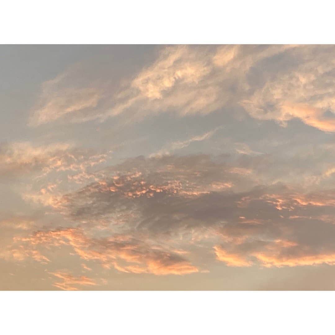 石橋静河さんのインスタグラム写真 - (石橋静河Instagram)「トトロのお腹☁️」9月21日 19時56分 - shizuka_isbs