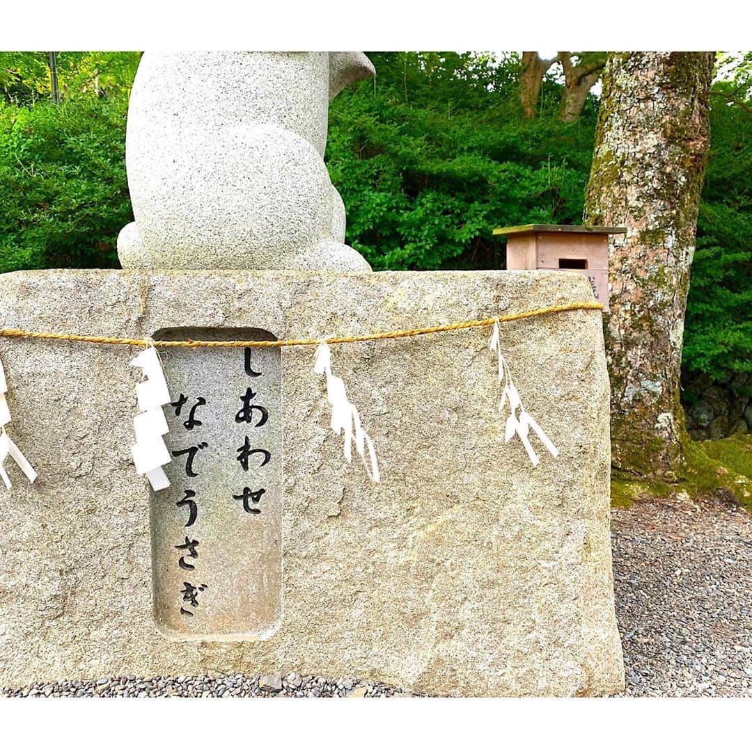 Yasuji Narutoさんのインスタグラム写真 - (Yasuji NarutoInstagram)「亀岡行ってきました。  稲穂観ながらお弁当食べました。  出雲大神宮行ってきました。  自然多くてすっごいイイトコ。」9月21日 20時08分 - norosuke