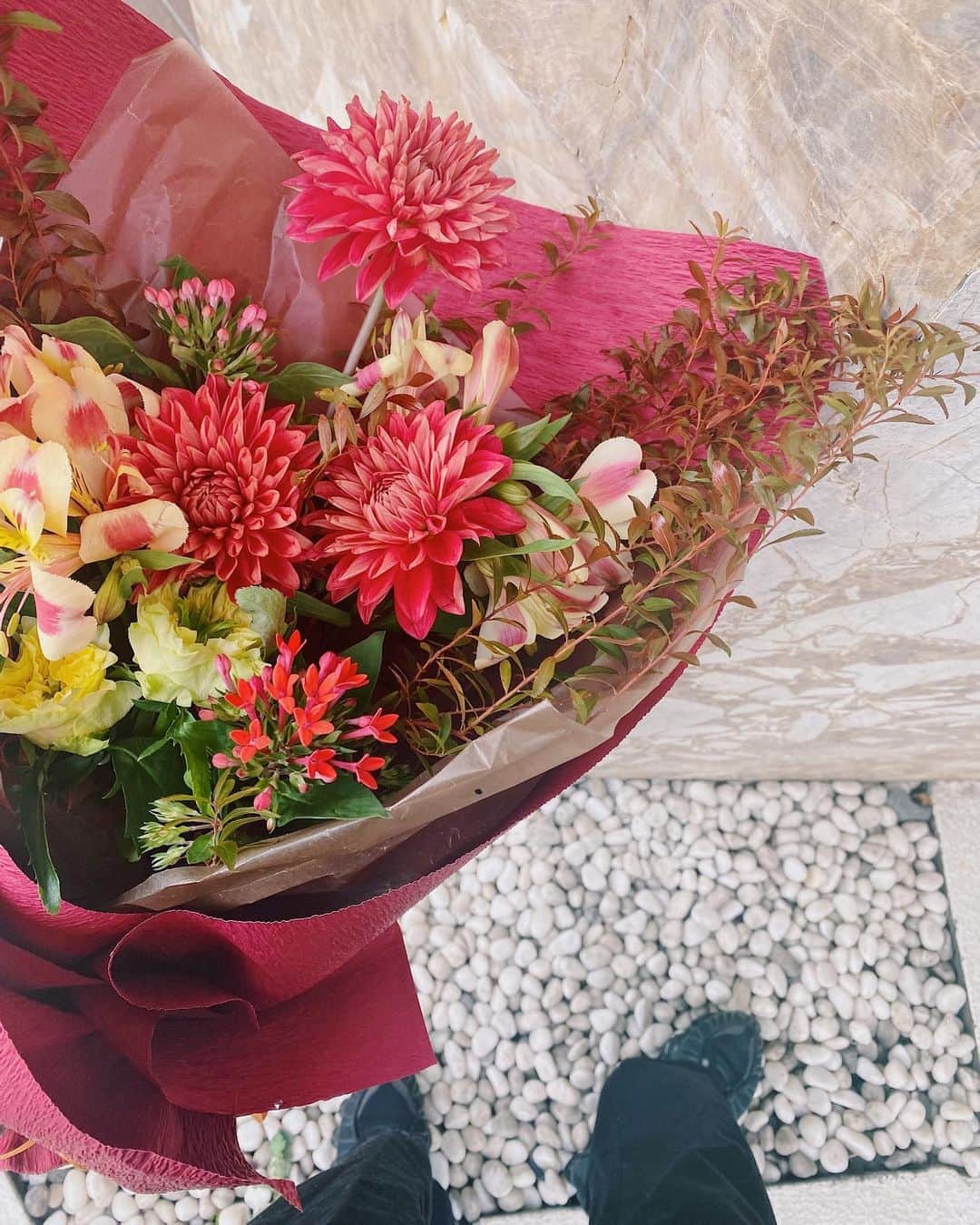 佐々木彩乃のインスタグラム：「ダリアがかわいい💐 #敬老の日　#todaysflower」