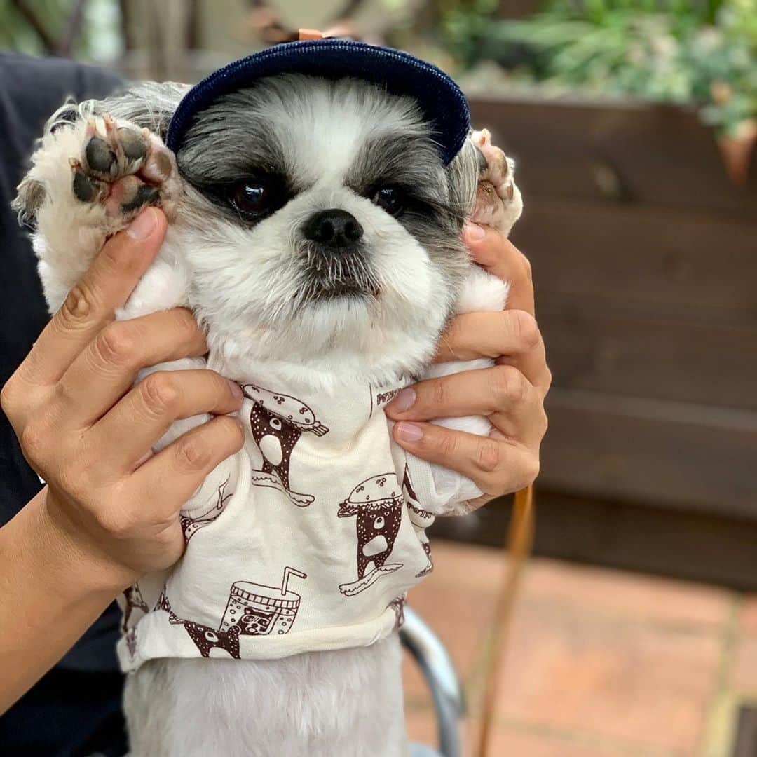 いくらのインスタグラム