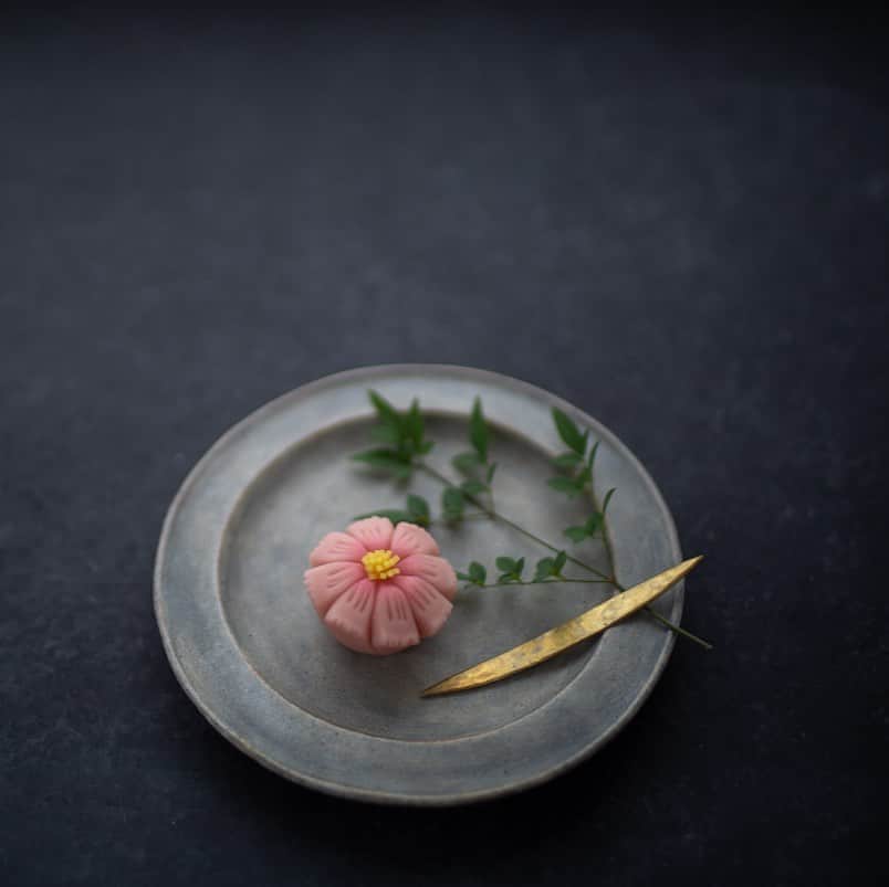 Naomiのインスタグラム：「秋桜。」