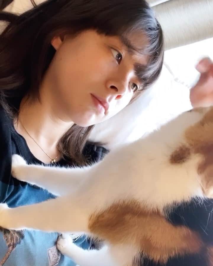 エモン・久瑠美のインスタグラム：「baby nuts 🥜🐱」