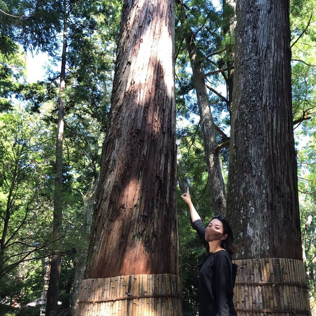 中川聴乃さんのインスタグラム写真 - (中川聴乃Instagram)「エネルギーチャージに行ってきました🍃✨不思議な事が沢山起こる人生は面白い😌  素敵なエネルギーの中で、素敵な人達との時間はとても有意義で、明日への活力になりました😊  #三重 #伊勢神宮  #お伊勢参り #御礼参り  #幸せをかみしめながら  #有難うの人生を」9月21日 20時52分 - nakagawaakino24