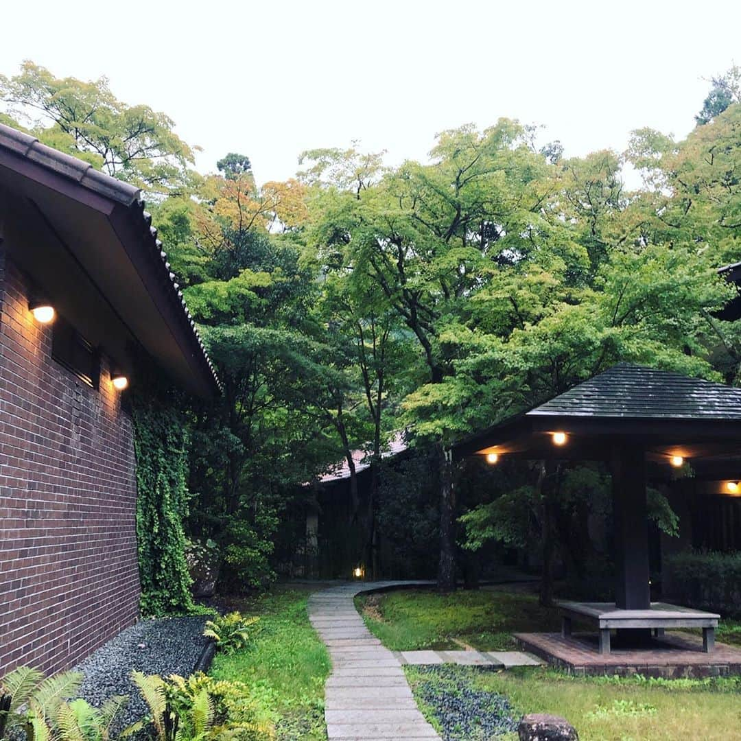 平井喜美さんのインスタグラム写真 - (平井喜美Instagram)「森の中の有馬のお宿🌳﻿ ﻿ 1室100平米を超える木造平家のスイートルームが10棟のみと言うことで他のお客様に会うこともなく、静かでゆっーたりとした時間を過ごしてきました♡﻿ ﻿ なんといってもお部屋についてるサーマルルーム（岩盤浴のようなお部屋）と部屋風呂の金泉🤎が最高だった﻿ 何もしない贅沢を存分に楽しんできました🧖‍♀️♨️﻿ ﻿ ちなみに﻿ 📍有馬山麓 御所別墅﻿ ヴィラタイプとメゾネットタイプのお部屋があり、ヴィラタイプのお部屋のみ、お部屋のお風呂が金泉です🤎🙆‍♀️﻿ ﻿ ﻿ #御所別墅﻿ #有馬温泉﻿ #温泉旅行」9月21日 21時07分 - yoshimi1111