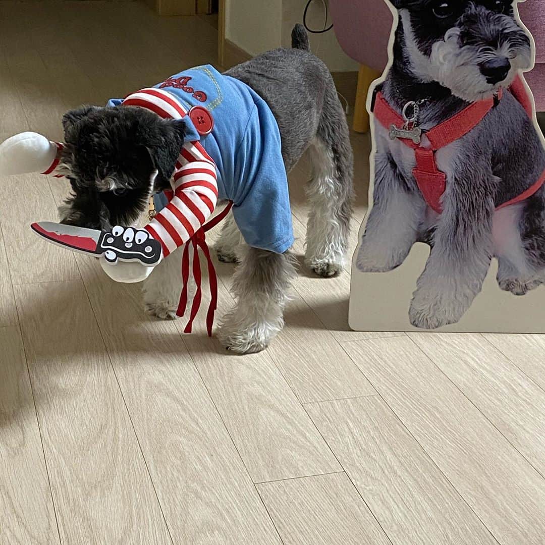 のインスタグラム：「#max ..🤭」