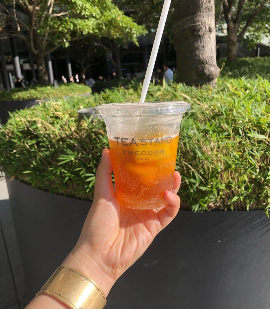 加藤るみさんのインスタグラム写真 - (加藤るみInstagram)「🌿🥭🍍 TEASODA🦥 グランフロントに行くと 高確率で寄っている♡ そろそろホットの季節だなー。 #theodorteastand  #teasoda」9月21日 21時18分 - rumicinema