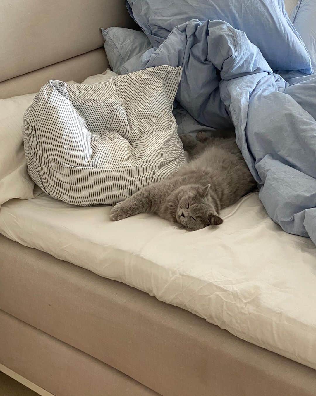 Mathilde Goehlerのインスタグラム：「That Monday afternoon feeling ₍˄·͈༝·͈˄₎」