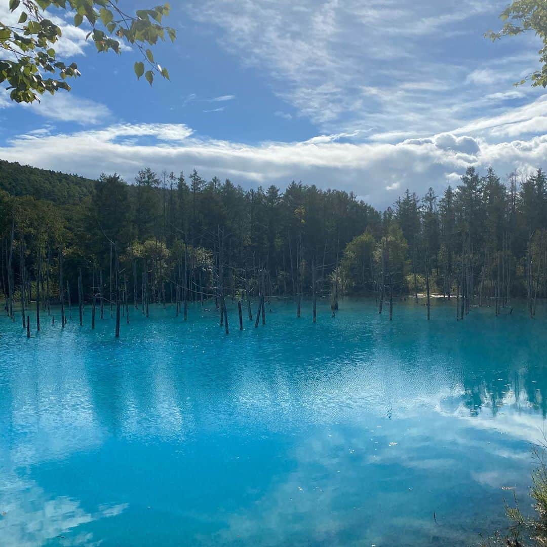 徳重杏奈さんのインスタグラム写真 - (徳重杏奈Instagram)「💙﻿ 美瑛の青い池﻿ ﻿ こんなに青いとは…！﻿ ﻿ なぜ青いかというと﻿ びえい白金温泉観光組合のHPによると﻿ 写真3枚目の #白ひげの滝 などから﻿ アルミニウムを含んだ水が流れ出ていて﻿ この滝が美瑛川の水と混ざると﻿ 目に見えないコロイド状という粒子が生成され﻿ それが太陽の光をまんべんなく散乱させているため。﻿ ﻿ ﻿ ﻿ …わからない笑﻿ ﻿ ﻿ ﻿ ちなみにこの日は﻿ 一年半振りに運転しました。﻿ ﻿ ﻿ ガッチガチ😂﻿ ﻿ ﻿ でも﻿ 後ろの席なら空いてますよ？﻿ ﻿ ドデスカ？乗りますか？💫﻿ ﻿ ﻿ ﻿ #徳さんぽ #夏休み #北海道旅行 #美瑛 #青い池 #名古屋 #メーテレ #アナウンサー #徳重杏奈」9月21日 21時44分 - anna.tokushige