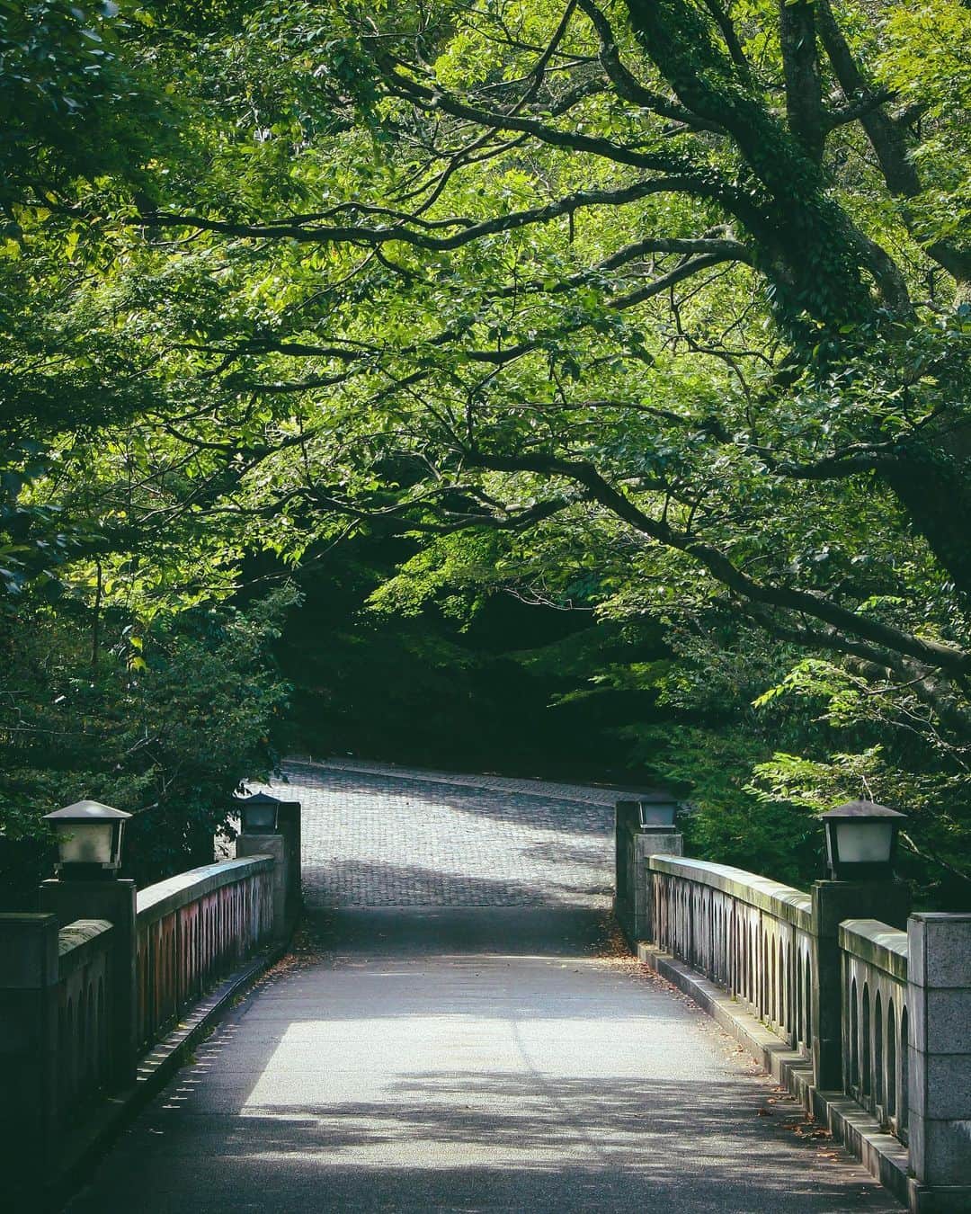 s_shoheyのインスタグラム：「. 暦では明日から秋🍁 早いな〜 .」