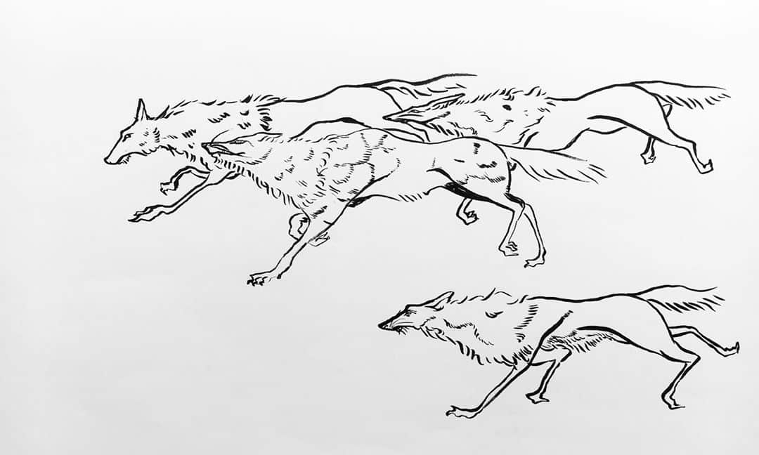 LiLi （矢野り々子）さんのインスタグラム写真 - (LiLi （矢野り々子）Instagram)「狼 Wolves  lili 13yrs old.  #狼 #wolves  #矢野り々子」9月21日 22時30分 - liliko.y