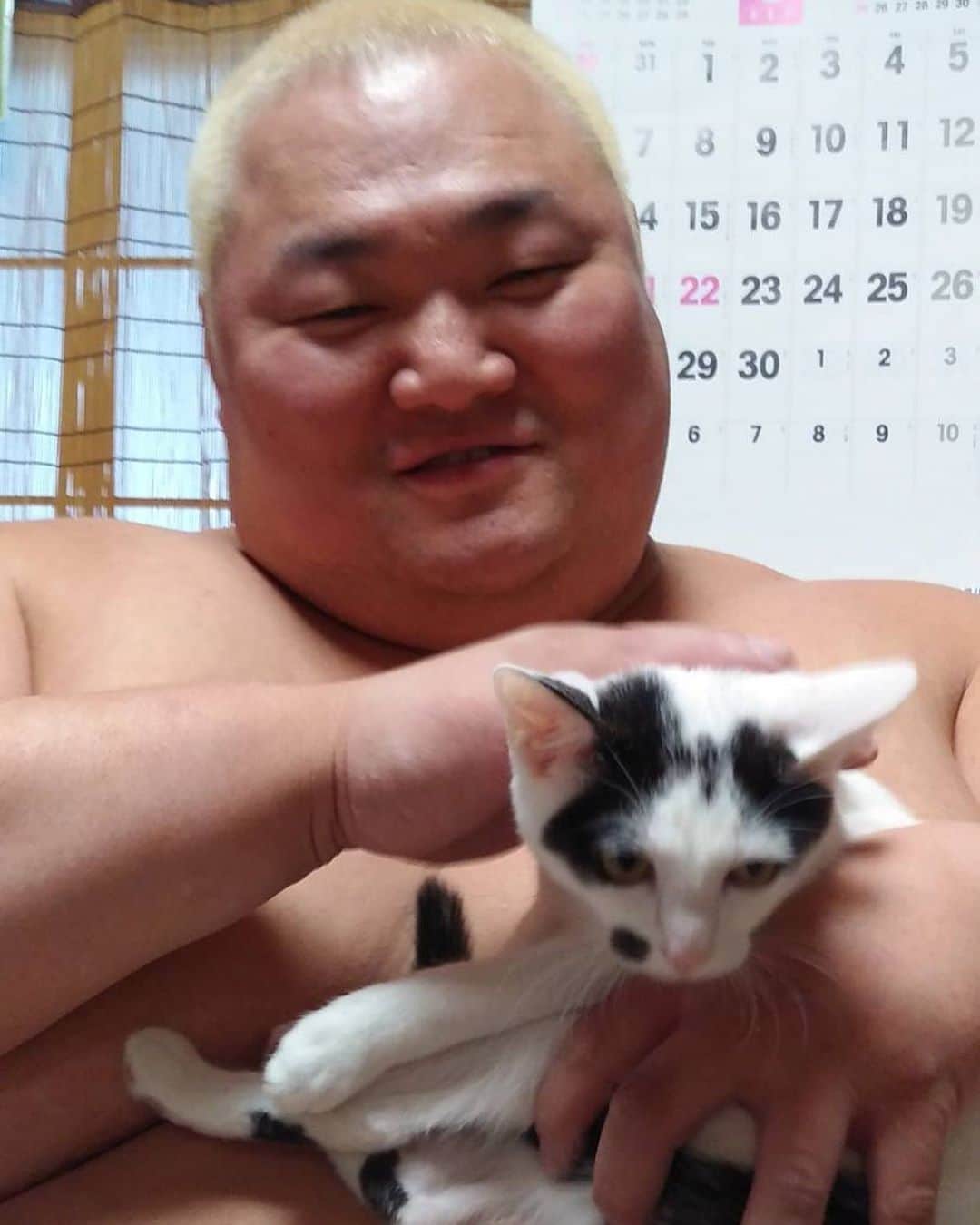 浜亮太さんのインスタグラム写真 - (浜亮太Instagram)「久々に大阪の実家に帰って来たら、知らん間にネコを飼っていました。名前はクルリちゃんメス。可愛い😍 #浜亮太 #ネコ #猫 #ペット」9月21日 22時38分 - hama.2964