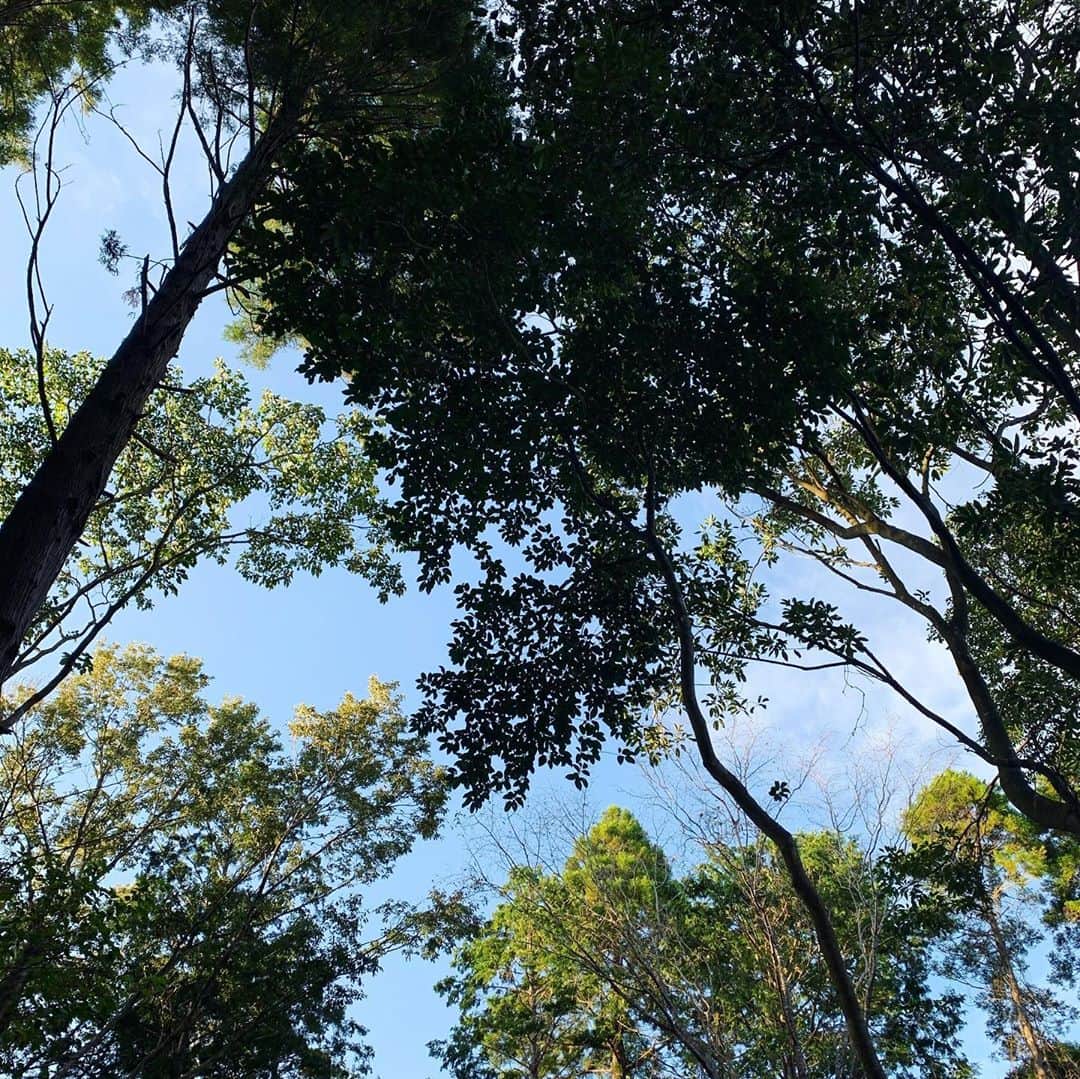 増崎孝司のインスタグラム：「夏も終わり、いよいよ秋の気配🍂🌾 Good times at the end of summer 2020.」