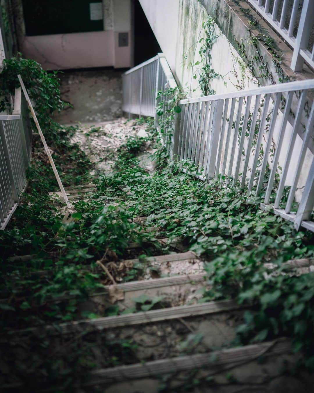 啝 （わ）のインスタグラム：「Green Footprints 𓆲 𓆲 𓆲 #abandonedafterdark #urbex_supreme #desertedplaces #abandon_seekers_ #urbex_regards #welcometwoneverland #kings_abandoned #abandonedcentral #the_urbex_institute #renegade_abandoned #rsa_preciousjunk #glitz_n_grime #gotrespassing #savethedecay #bandorebelz #abandoned_addiction #abandoned #urbex #global_urbex #urbex_utopia #abandonig #allabandoned #urbex_kings #sombrexplore #grime_lords #urbxtreme #all_is_abandoned #discarded_butnot_forgotten #廃墟 #made_in_decay」