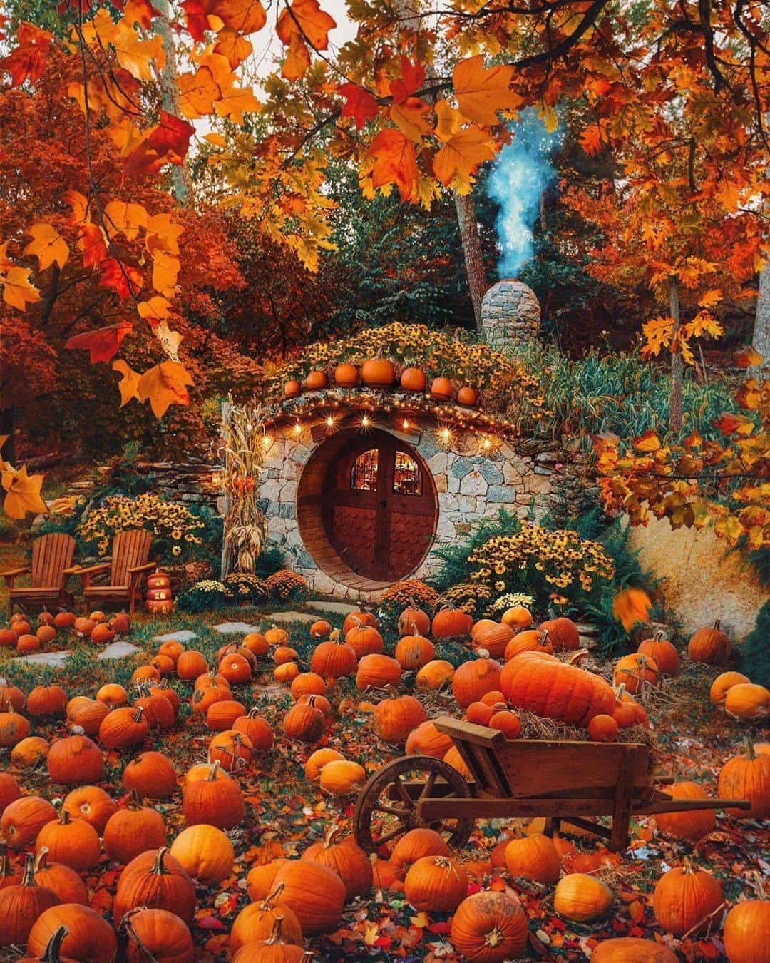 Discover Earthさんのインスタグラム写真 - (Discover EarthInstagram)「🎃 "Tag a friend you want to go Pumpkin picking with at the Hobbit Hole this Fall and then finish it off with a butterbeer inside this Autumnal Wonderland! 🍂🍁✨🍻" 🇺🇸 #discoverrhodeisland with @kjp   #pumpkin  #autumn #hobbithole」9月22日 0時09分 - discoverearth