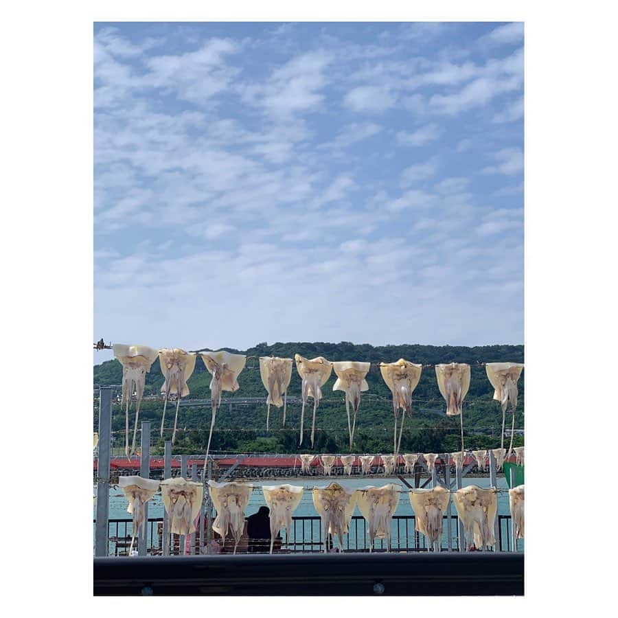 AIMIさんのインスタグラム写真 - (AIMIInstagram)「おきなわ奥武島のたび🏝🏝🏝 ❤︎ ❤︎ みなさんはシルバーウィーク、いかがお過ごしでしょうか？☀️  沖縄本島の南部にある小さな橋で繋がる小さな離島、奧武島(おうじま って読みます)って知っていますか？⛱  日本列島には「猫島」 と呼ばれるようなノラ猫ちゃんがた〜〜くさん住んでいる島がいくつかありますが、 奧武島も猫ちゃんがたくさんお迎えしてくれる離島です🐱  人口も少ない小さな離島ですが、 海も綺麗でドライブがてらで行く人や、ダイビングなどで人気のスポットです🌊  何店舗か天ぷら屋さんがあって、 1つ70円ほどでおやつ代わりに天ぷらを買って行く人がほとんど🐠  おきなわ天ぷらは、生地がふわふわしていて ちょっとモチモチもしていて、食べ応えがあって美味しいのでローカルなおきなわ天ぷら食べたことない人は食べてみて欲しいな😁  奥武島の食堂 「海産物食堂」 は沖縄の海産物が盛り盛りな定食が食べられます🥢  むしろ多くて食べきれないくらい‼️✨🍚  おきなわの魚は唐揚げにしたりバター焼きにするのが美味しいですね🐟  ソーシャルディスタンスも保ちつつゆったりお食事ができる〜👌  おうじまからの眺め、好きだなー🐋 奥武島、なぜ　おくたけしま　と書いて おうじま　なのでしょうか〜？💫  謎は謎なままで、 それではおやすみなさい😴⭐  ps.沖縄の海が映るAIMIの「ナツトモ」観てねー❣️ ▶️https://youtu.be/UntT4_xr35w  #AIMI#okinawa#singersongwriter  #作曲#奥武島#おうじま#車で行ける離島#上間てんぷら#大城てんぷら#海産物食堂#ドライブ#いゆ#方言女子 #ナツトモ#夏の終わり#リアル沖縄」9月22日 0時15分 - my_name_is_aimi