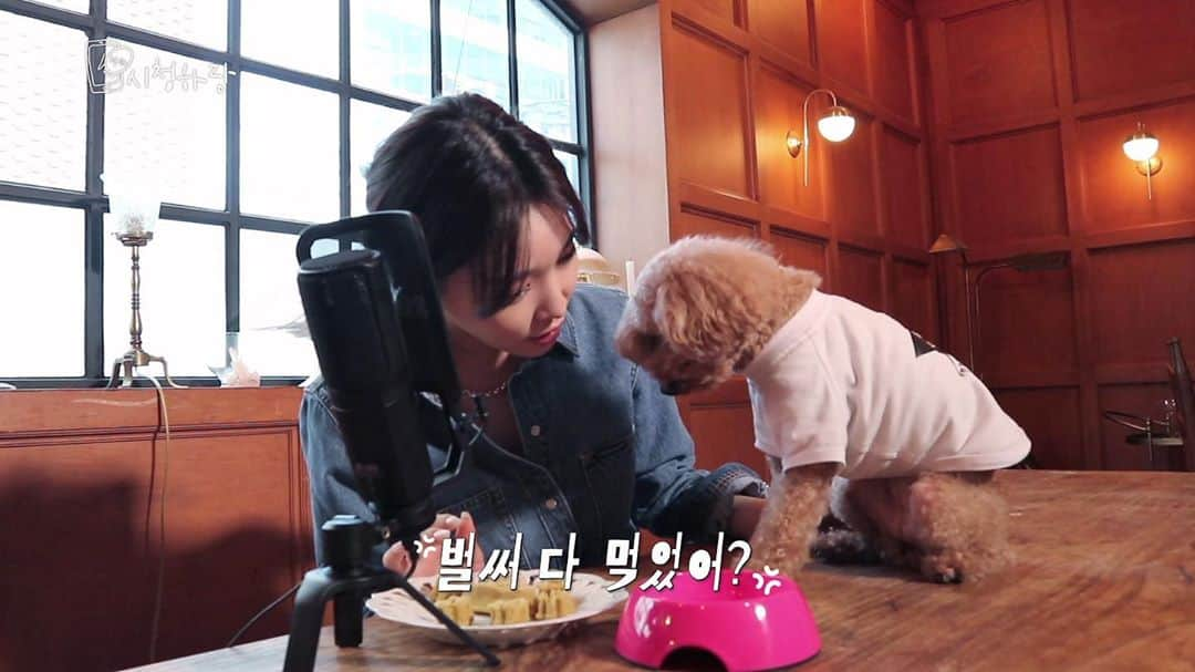 チョンハさんのインスタグラム写真 - (チョンハInstagram)「[ CHUNG HA Vlog ] 'C'HUNG HA RANGㅣEP 7. 밤비 생일 케이크 만들기 ⠀⠀⠀⠀⠀⠀⠀⠀⠀⠀⠀⠀⠀⠀⠀⠀⠀⠀⠀⠀⠀⠀⠀⠀⠀⠀⠀⠀⠀⠀⠀⠀⠀ ▶️ https://bit.ly/3nmkVxb ⠀⠀⠀⠀⠀⠀⠀⠀⠀⠀⠀⠀⠀⠀⠀⠀⠀⠀⠀⠀⠀⠀⠀⠀⠀⠀⠀⠀⠀⠀⠀⠀⠀ #청하 #CHUNGHA #별하랑 #BYULHARANG  #시청하랑 #SEECHUNGHARANG」10月6日 20時00分 - chungha_official