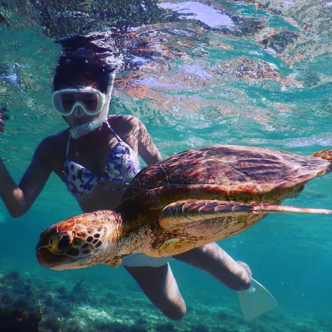 MomoseRyoko のインスタグラム：「初宮古行ってきました！マジで海が綺麗だったー！東京から2時間半で行けるならもっと早く行けばよかったー😭 シュノーケルで、ウミガメ六匹見れた！ニモもぃた！ #宮古島　#コバンザメ  #gotoキャンペーン  #ウミガメ #シュノーケル #シギラベイサイドスイートアラマンダ」