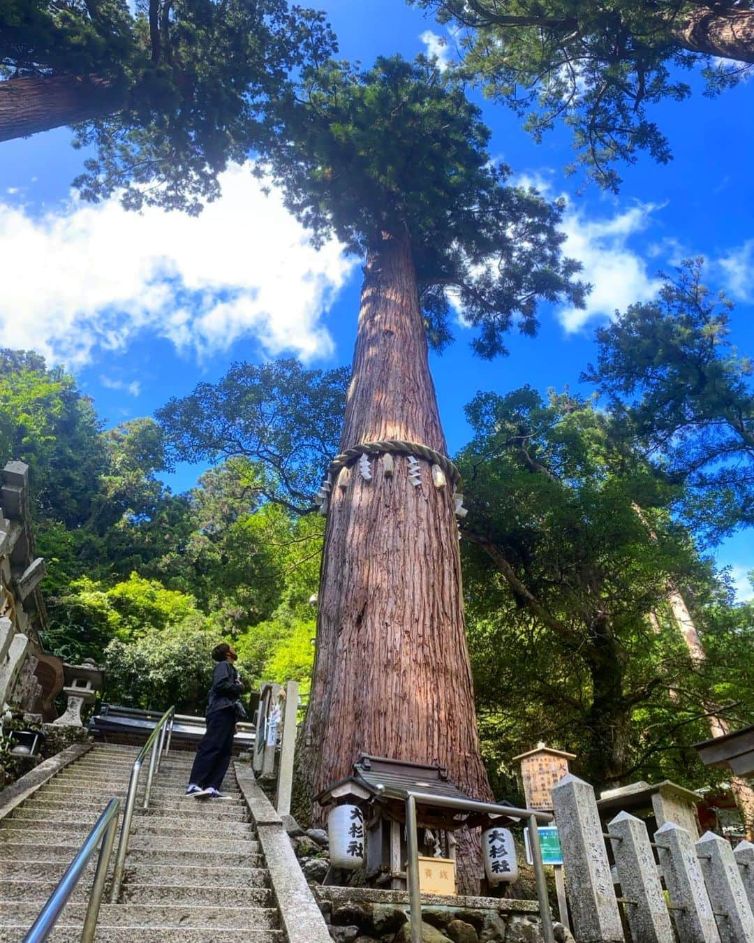 伊藤元太のインスタグラム：「20年と800年  #鞍馬寺」