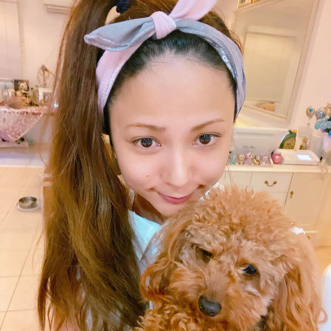 Arimeのインスタグラム：「お風呂上がり♨️ お家でまったりちゅ！ お母さんの炊き込みご飯(ジューシー)待ち💕  #沖縄 #おうちごはん #お母さん #ジューシー #お風呂上がり #すっぴん #わんこのいる生活 #みにちゅあだっくすふんど #トイプードル #沖縄生活 #アリメ#arime」