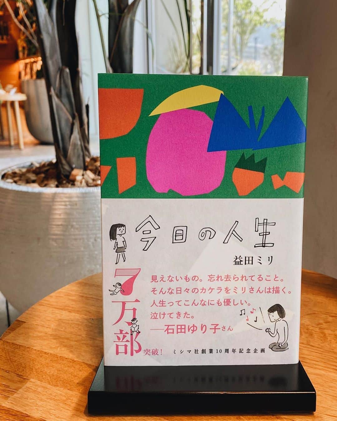 柏の葉 T-SITEのグルメインスタ