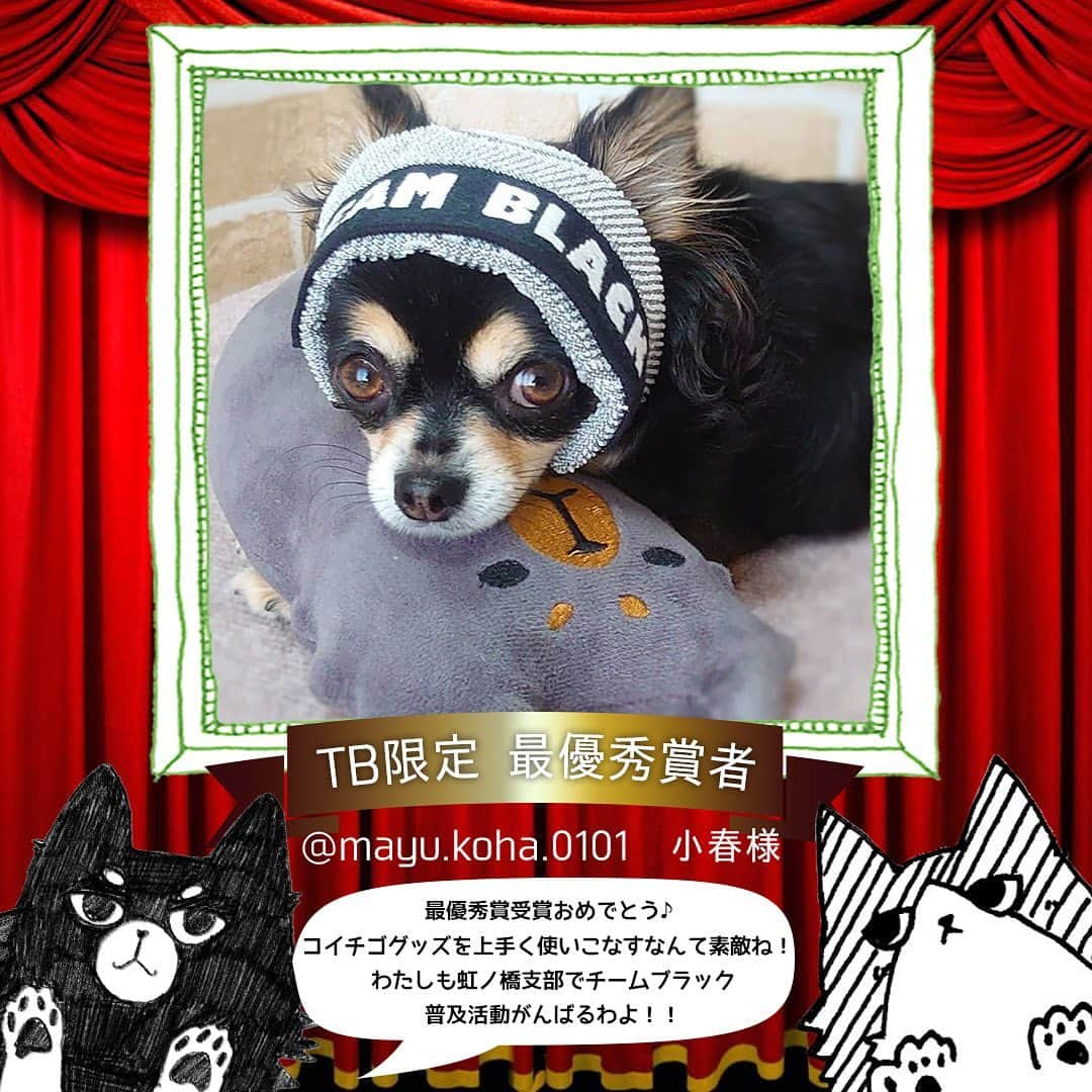 iDog&iCatさんのインスタグラム写真 - (iDog&iCatInstagram)「idogicat 大変お待たせいたしました…！ 【チームブラック限定 お題でPON】の結果発表です♪ * 皆様のたくさんの投稿ありがとうございました！ * チームブラック限定【チームブラック Forever～コイチゴ隊長への愛～】最優秀賞者は @mayu.koha.0101 No.346 小春ちゃんのお写真です！ おめでとうございます * 他にも、優秀賞、入賞、特別賞の作品がございます。 * 受賞された皆様には後日#dogicat よりオリジナルグッズをプレゼント致します。 ダイレクトメッセージ、メールでのご連絡となりますので、ご確認お願いいたします。 * 最優秀賞者・優秀賞・入賞・特別賞作品はIDOG＆ICATのページにて掲載させていただいております。 こちらもどうぞご覧ください。 （ストーリーからもリンクに飛べます✈） https://www.idog.jp/gold/blackpon * たくさんの可愛いお写真のご応募、コイチゴへのメッセージありがとうございました。 チームブラックの活動は今回で終了となりますが、これからは虹の橋支部からメンバーの活躍を見守ってくれることでしょう。 #お題dePON_ブラック で、他にもたくさんの可愛いお写真が見られます！是非ご覧くださいませ。 今度ともIDOG＆ICATをどうかよろしくお願い致します。 *  #idogicat #iDog #iCat #チームブラック #iDog_TEAM_BLACK #お題dePON_ブラック #犬の服iDog #犬 #いぬ #黒 #黒い犬 #チワワ #看板犬コイチゴ #うちの子優勝」10月6日 10時59分 - idogicat