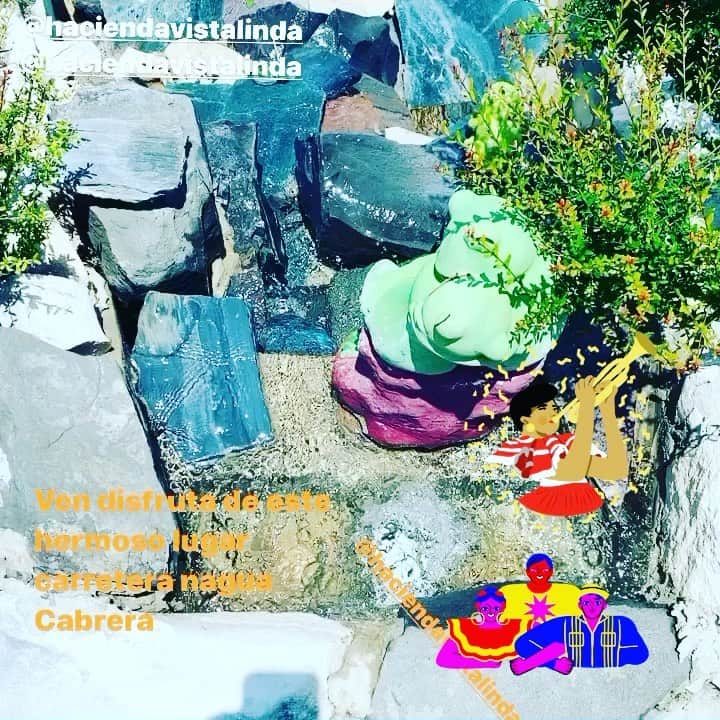 ジョーダン・ノルベルトのインスタグラム：「Ven disfruta del mejor Anviente y la mejor comida, hecha a la leña reserva con tiempo 👉🏼 @haciendavistalinda 🦚🦚😍🎋☘️🌿🦌🌟」