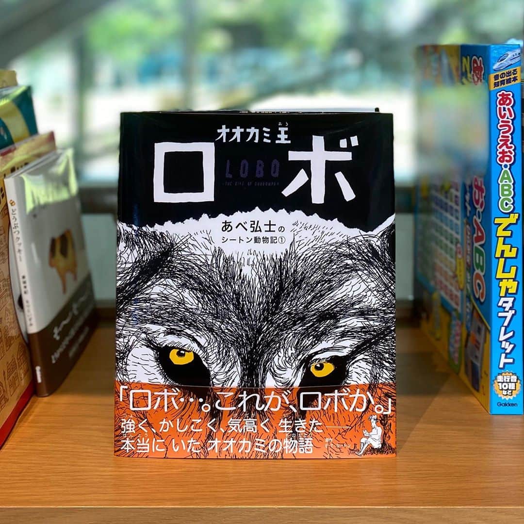 学研ゼミ【公式】のインスタグラム：「【読書の秋】 アメリカの平原に、牧場をあらしまわる強く大きなオオカミがいました。 名前は、ロボ。 とてもかしこいロボですが、実はひとつだけ弱点がありました…。  作者の#あべ弘士　さんは、#旭山動物園　での飼育係時代に、 オオカミの飼育を担当していました。 動物たちの日々の姿を近くで見つめてきたからこそ描ける、 鳴き声の表現や、迫力満点の挿絵が見所です。  音読したときのリズムにこだわった文章で、 ふりがな付きのオールカラーなので 読み聞かせや、お子さまのはじめての＃シートン動物記　にぴったり。 ロボの気高さや命の厳しさ、自然の壮大さが心に残る、 絶対に読んでおきたい名作です。  読み聞かせなら何歳からでも◎ ひとり読みなら小学校低学年から大人の方まで 楽しんでいただけます◎ . . @gakken_ehon  #ロボ #オオカミ王ロボ」