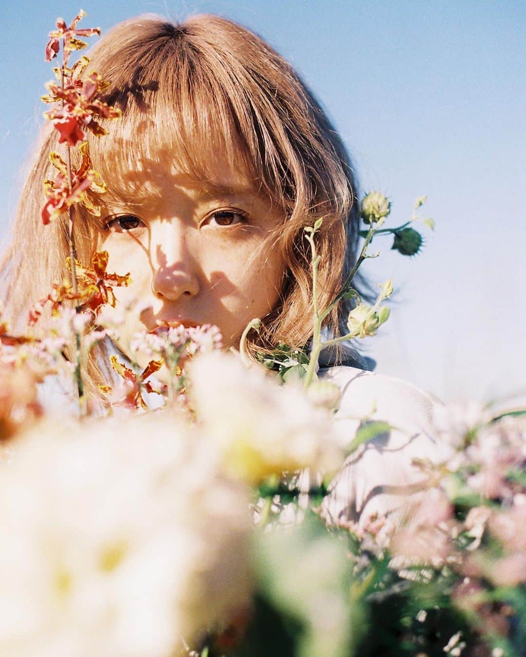 花盛友里のインスタグラム：「AMO本『気づいたら大人になっていたけれど、わたしはわたしのままだった』 表紙も中身もぜーんぶ撮影させていただきました。  何よりタイトルが素敵すぎる！ 10年ぶりくらいに撮影したあもちゃん！あの頃から変わらず自然体で可愛くて、そしてそう、わたしたちは気づけばこんなに大人になってたんだよなぁ。  ほんっとに素敵な本になってるので見て見てね。 発売は10/29だよー！ 予約開始しとります♡」