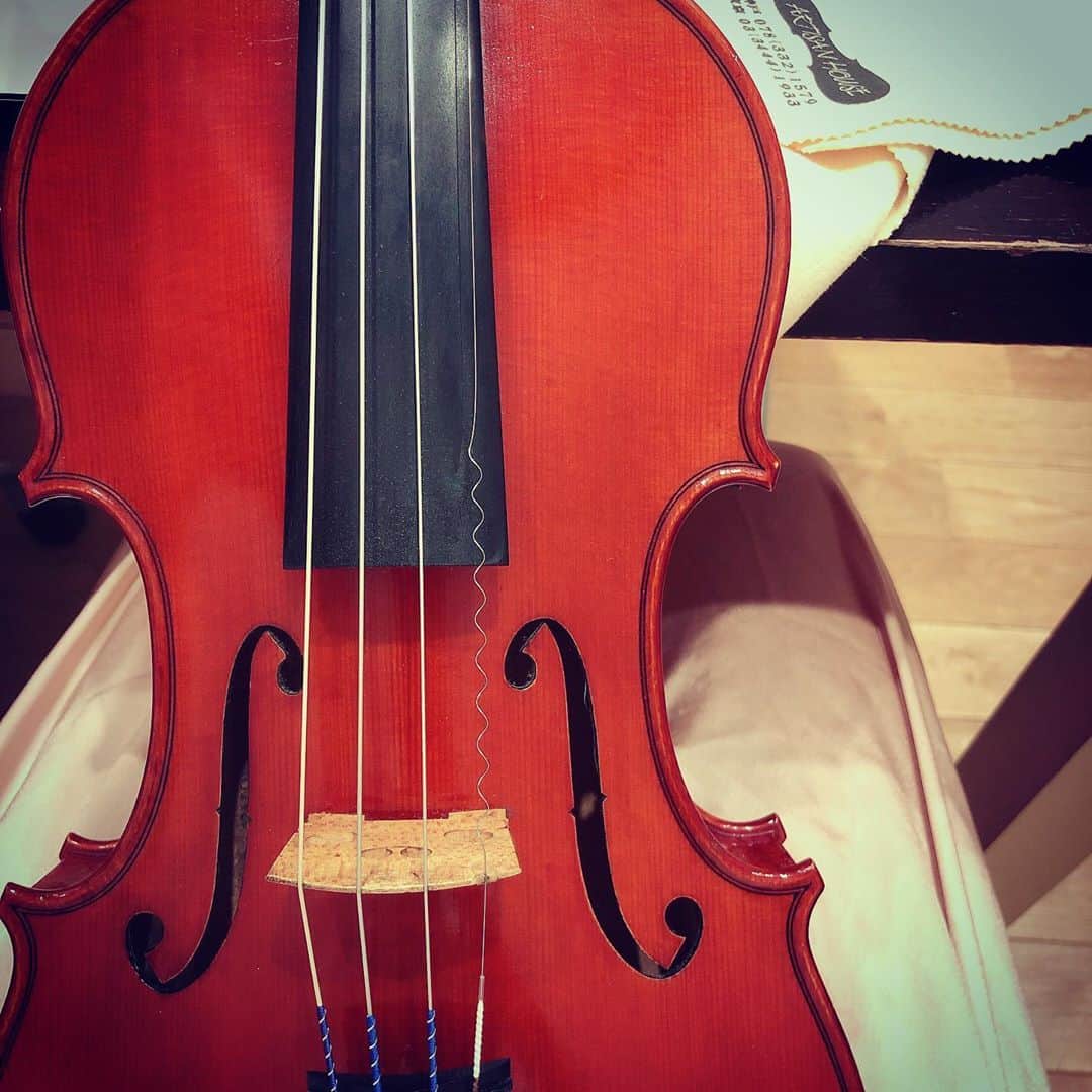 東出真緒さんのインスタグラム写真 - (東出真緒Instagram)「びよよよよ〜〜ん 🎻 . WARCHAL AmberのE線 くるくる巻き。 音が裏っかえるのを防ぐためにだそう。 おもろい。 . #violin #violin弦 #WARCHAL #クロサワバイオリン」10月6日 11時43分 - mao_bigmama_vn